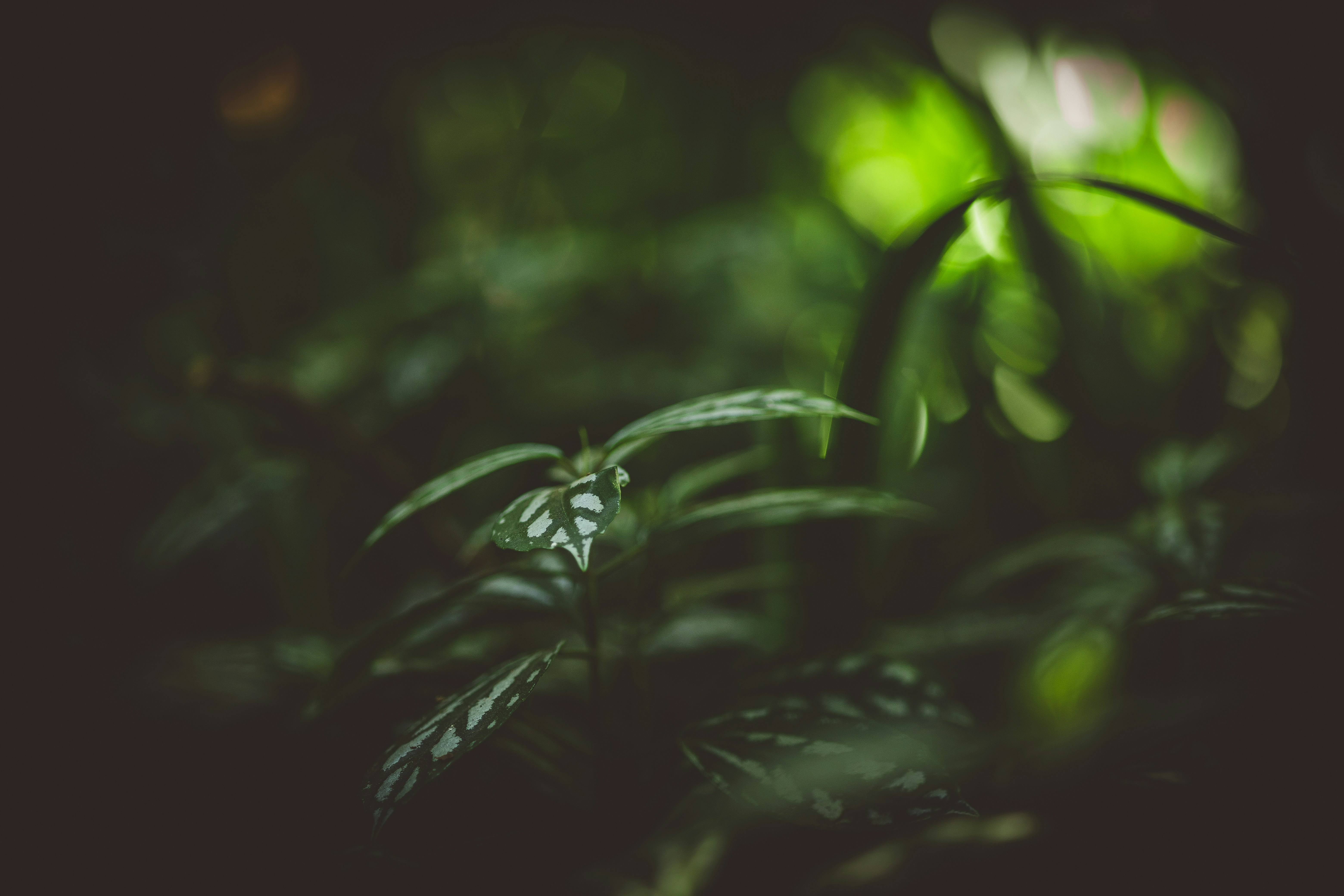 Photo by rrodriguesim