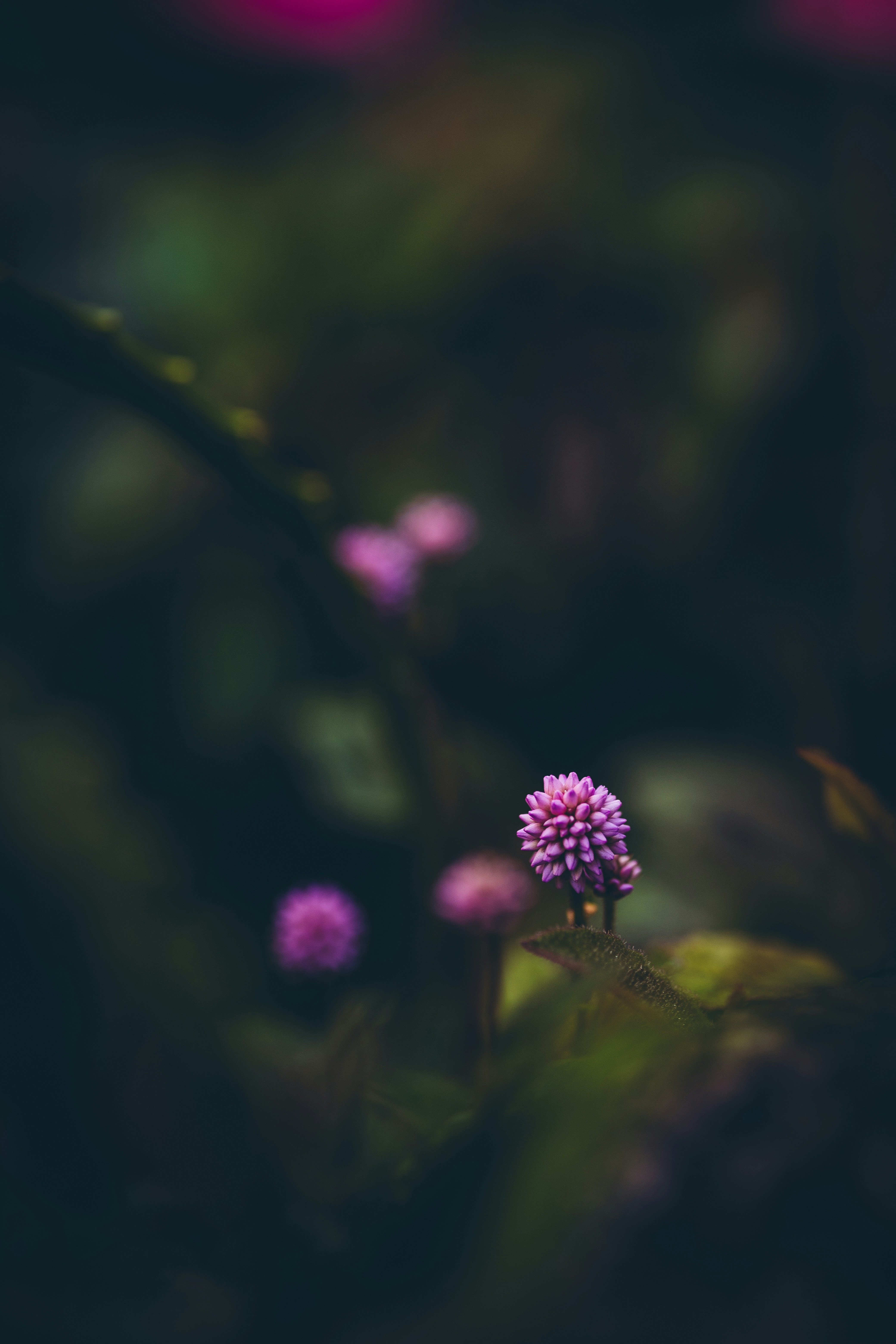 Photo by rrodriguesim