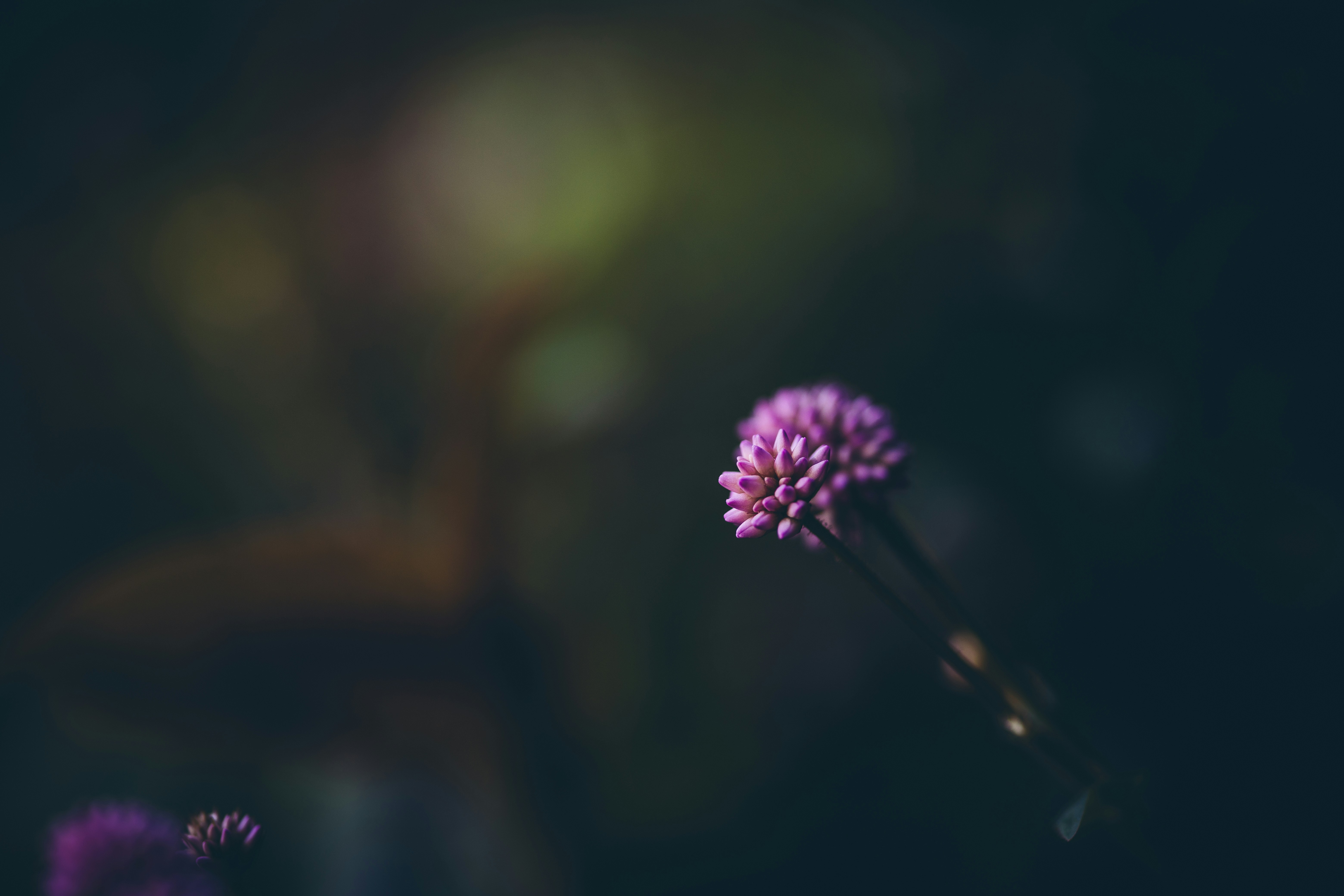 Photo by rrodriguesim