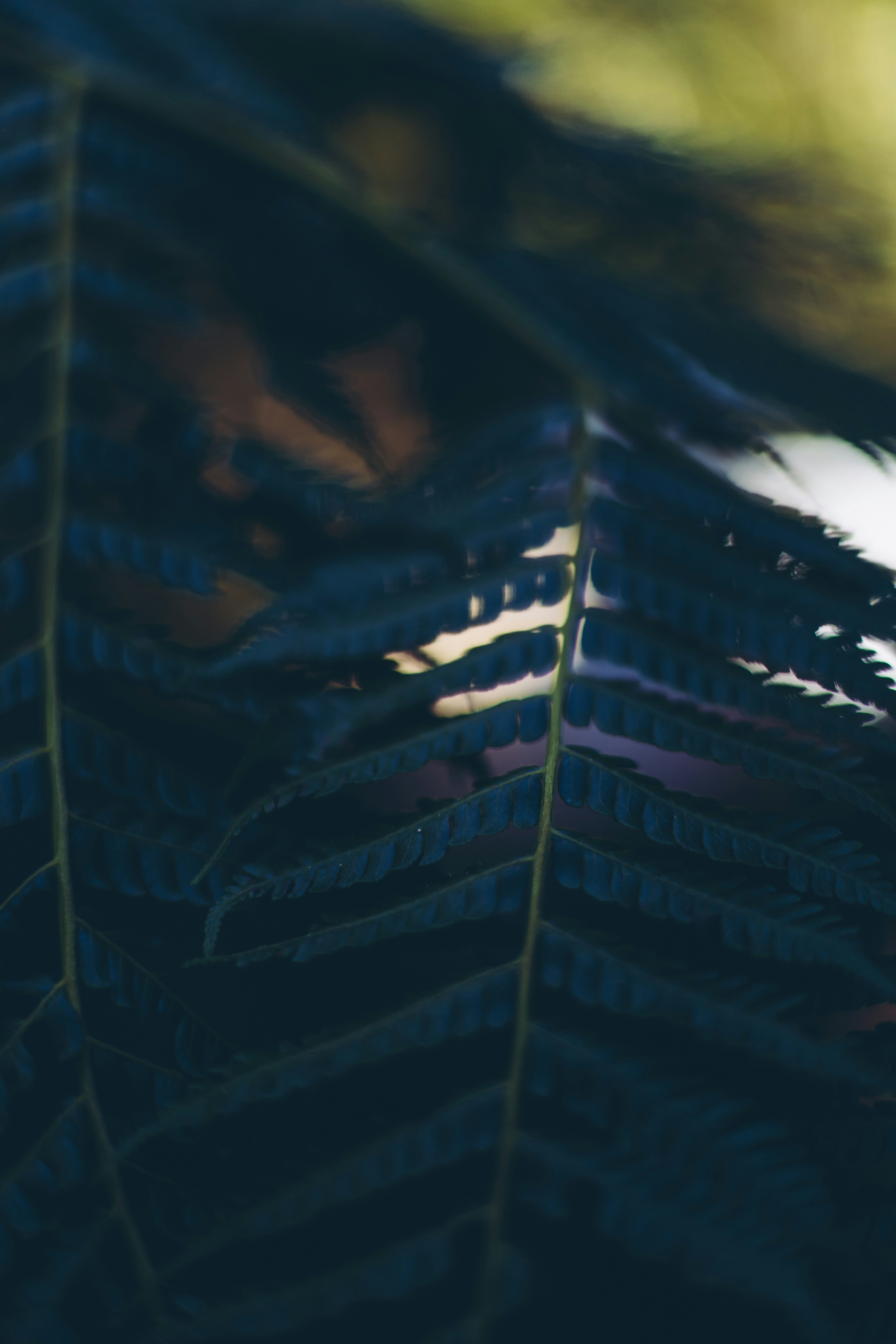 Photo by rrodriguesim