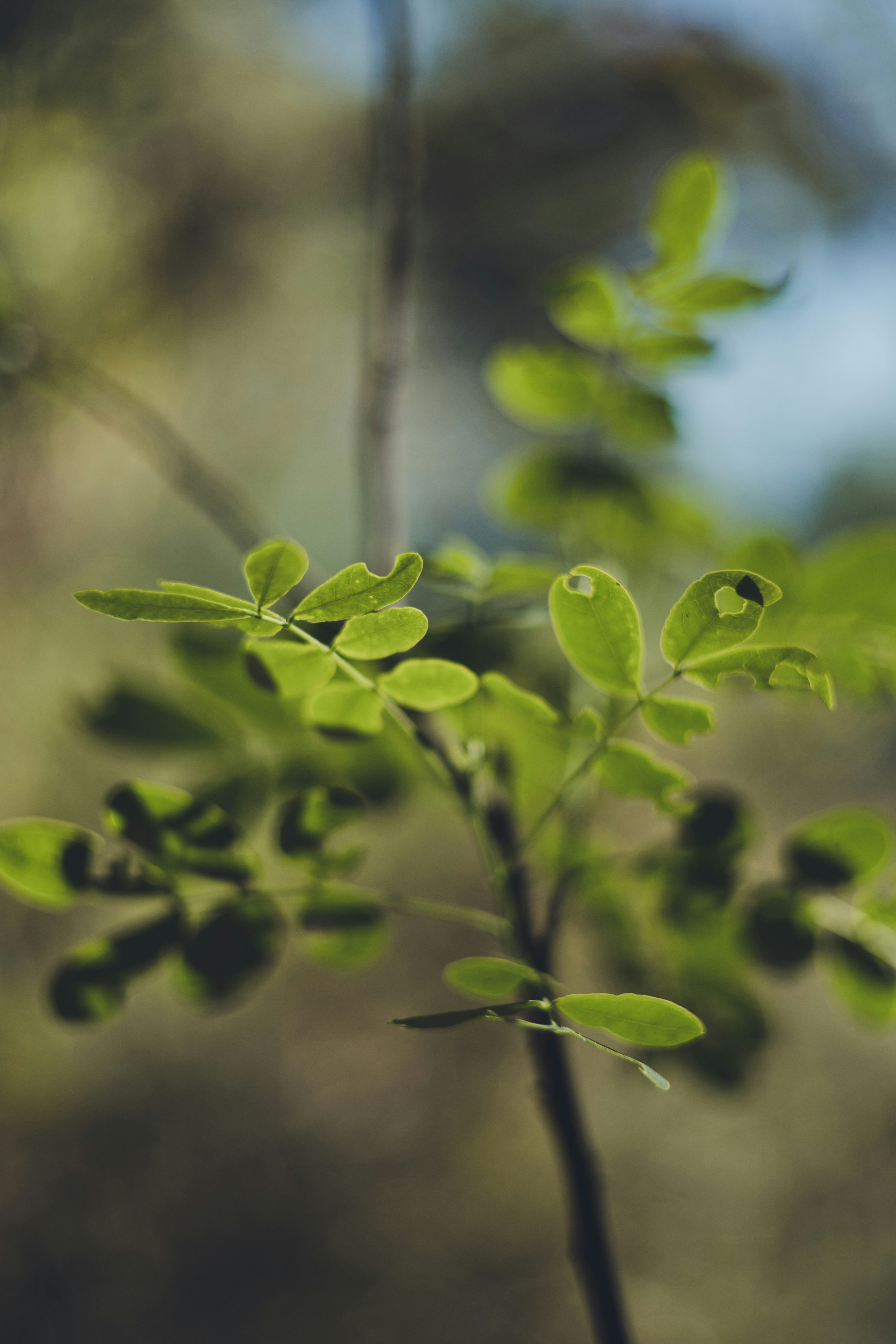 Photo by rrodriguesim