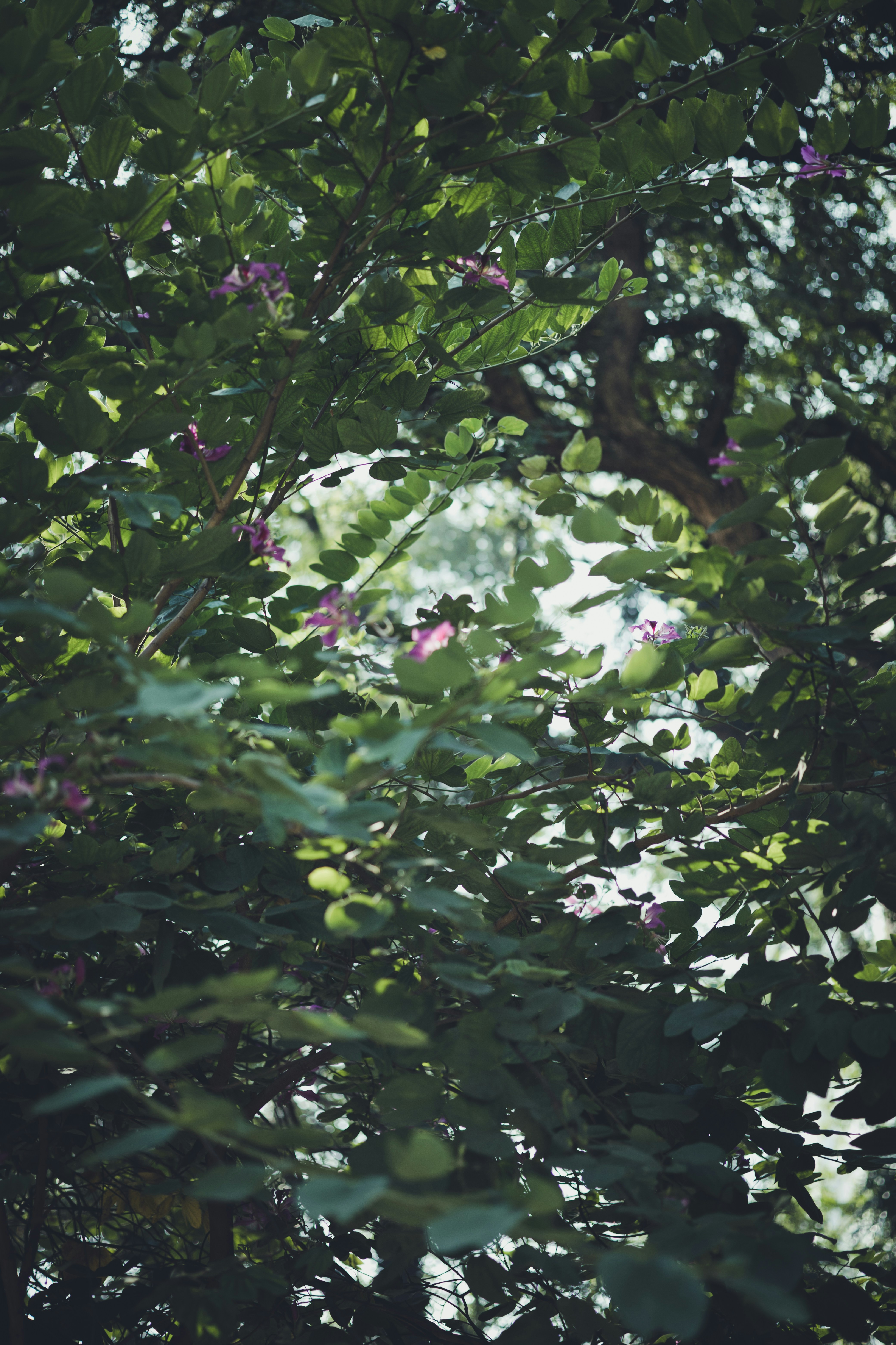 Photo by rrodriguesim