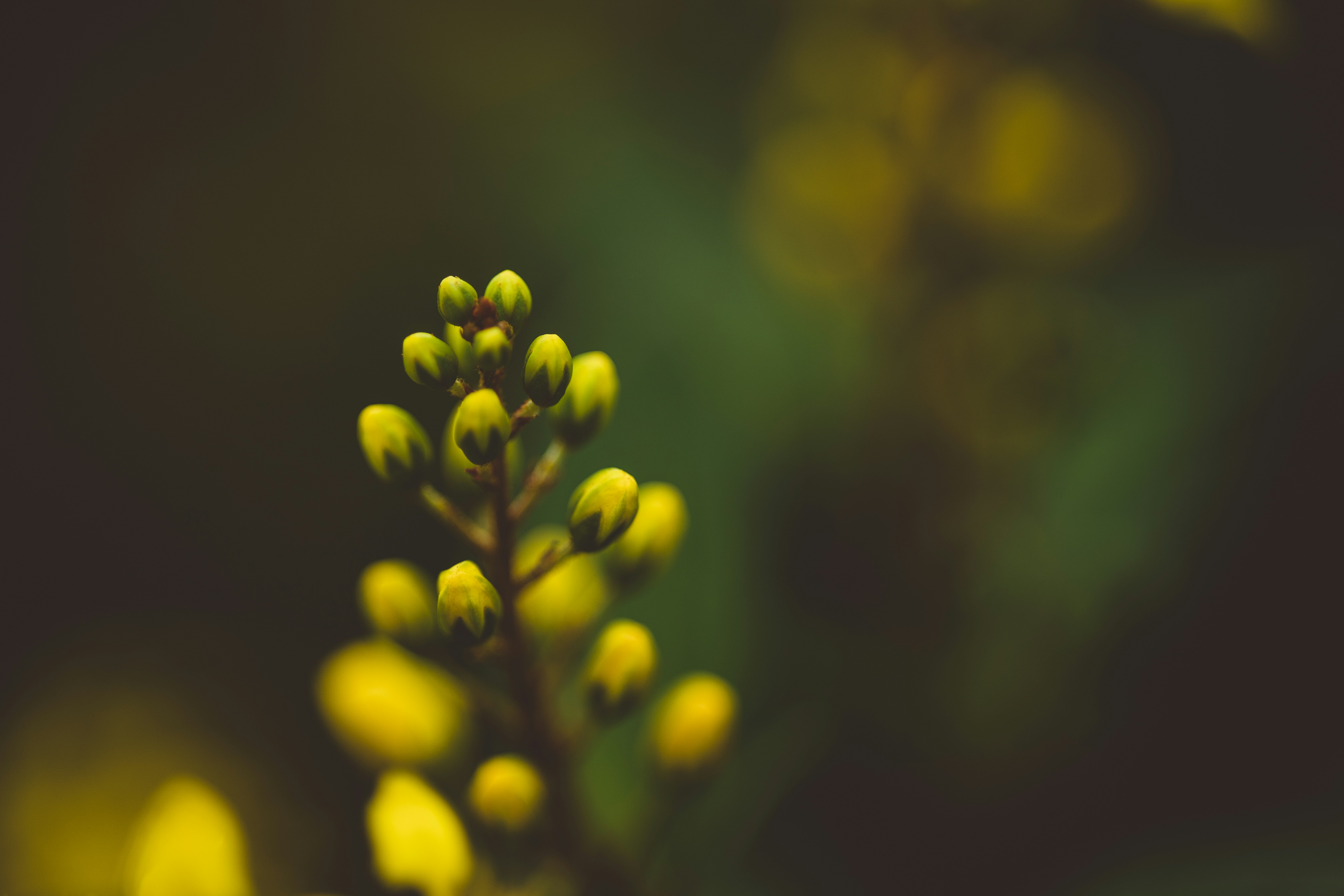 Photo by rrodriguesim