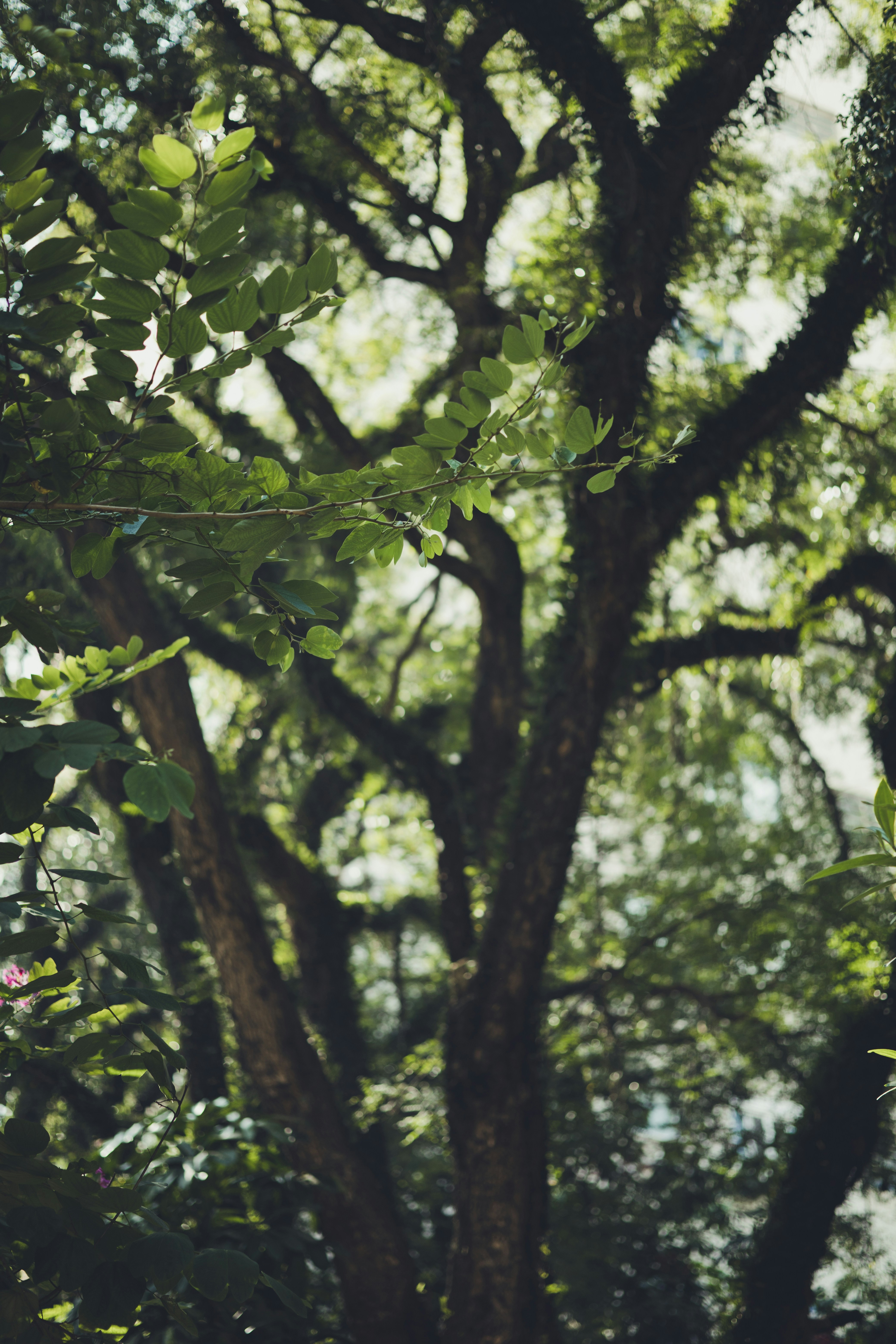 Photo by rrodriguesim