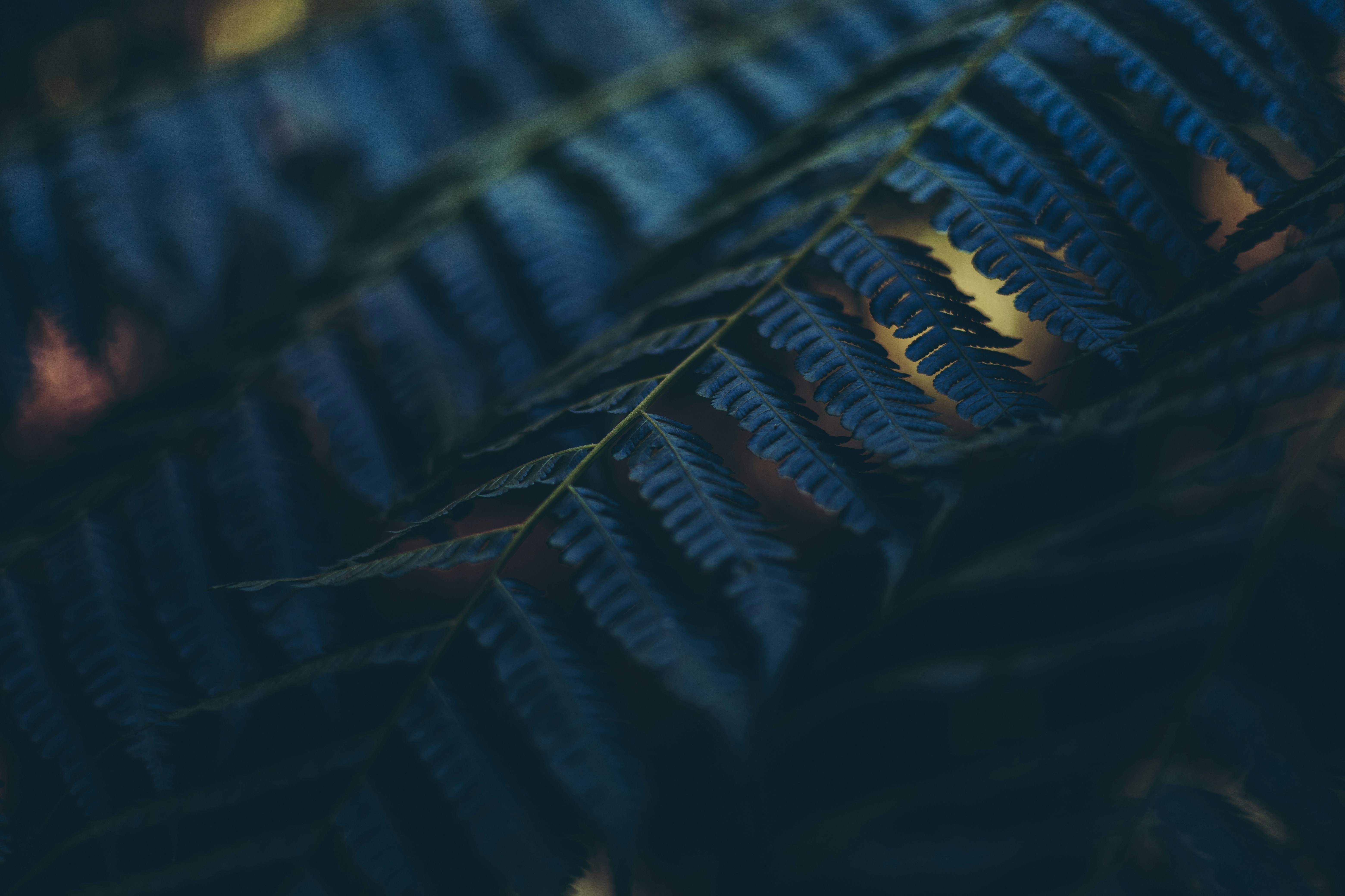 Photo by rrodriguesim