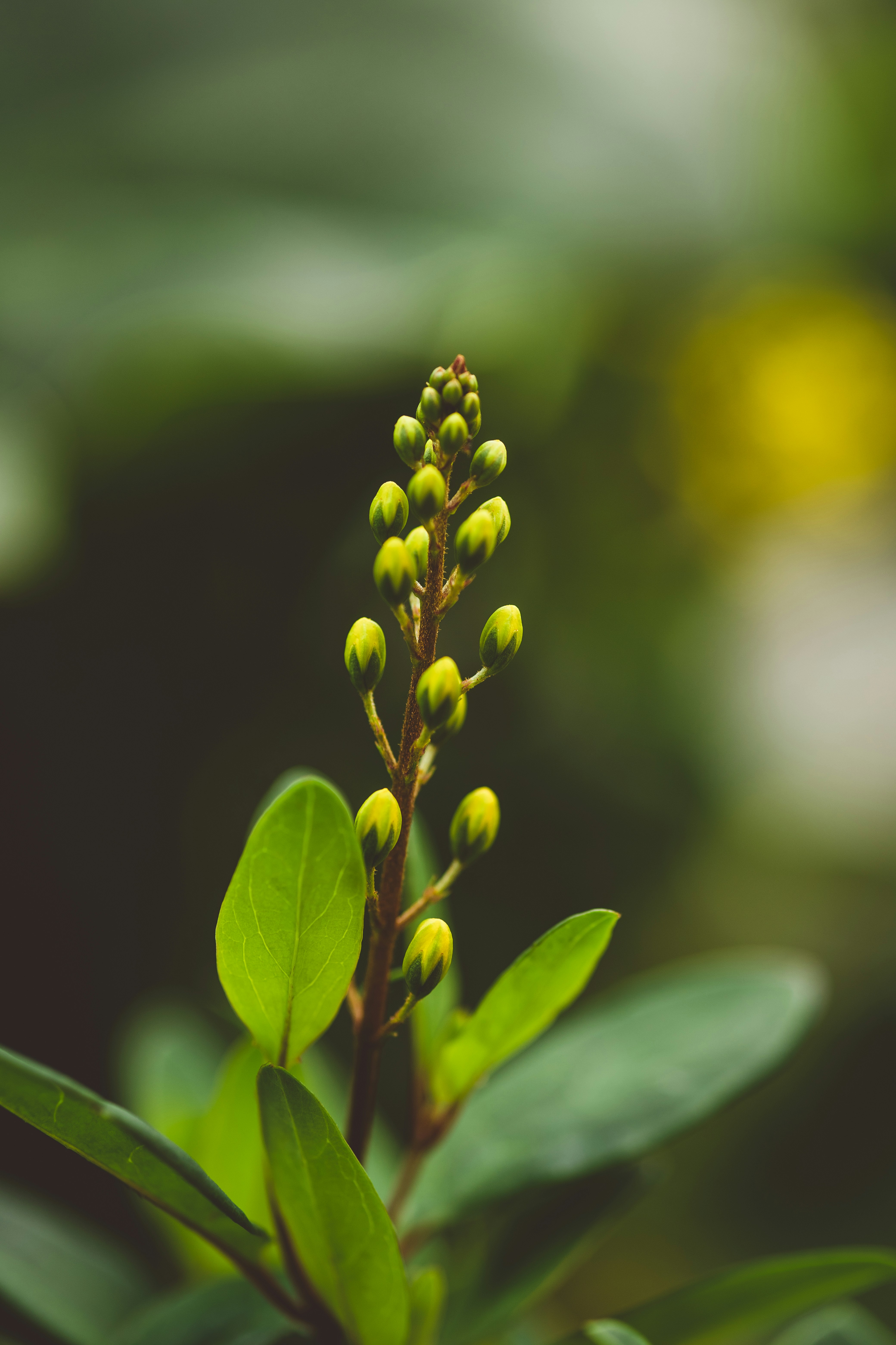 Photo by rrodriguesim