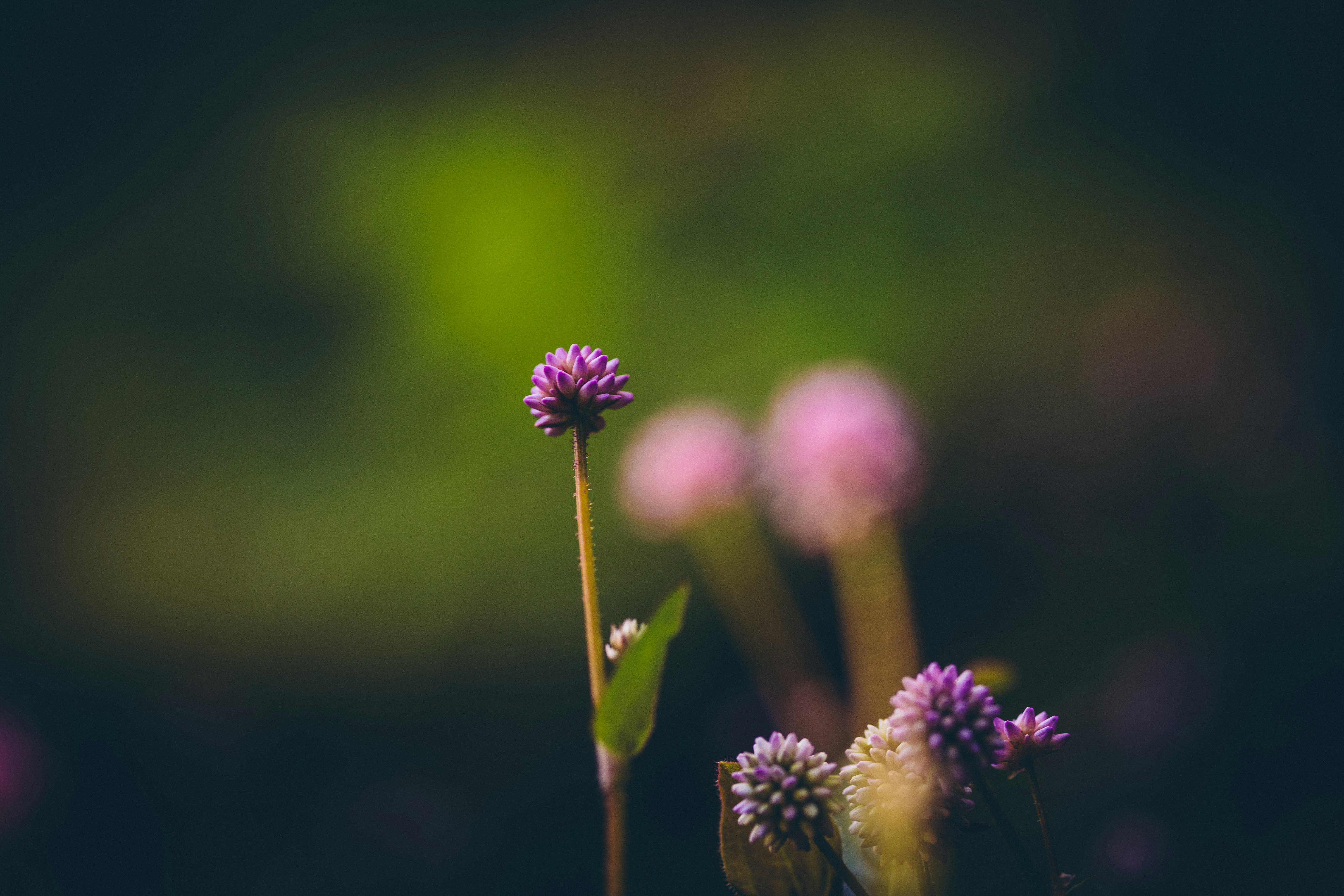 Photo by rrodriguesim