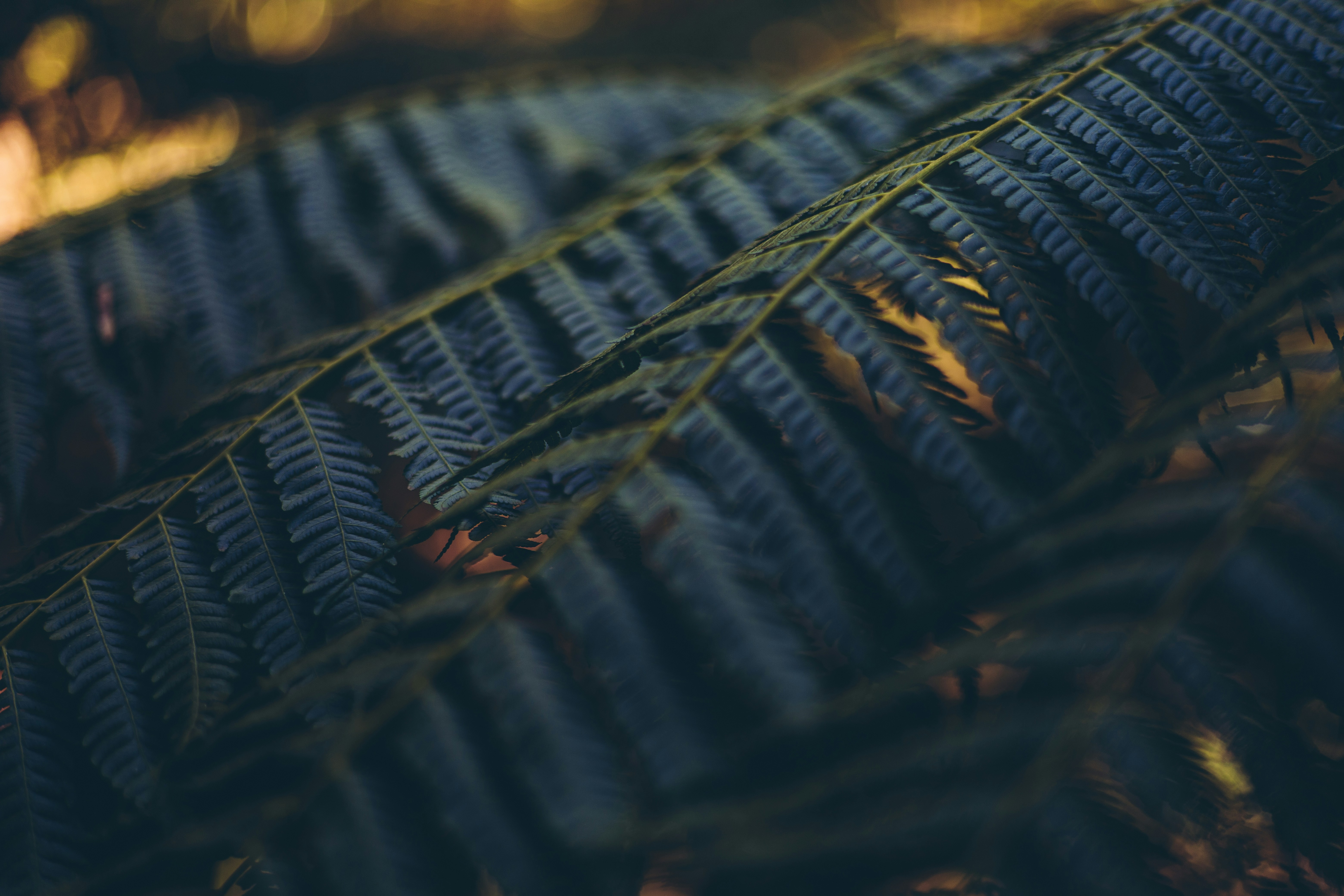 Photo by rrodriguesim