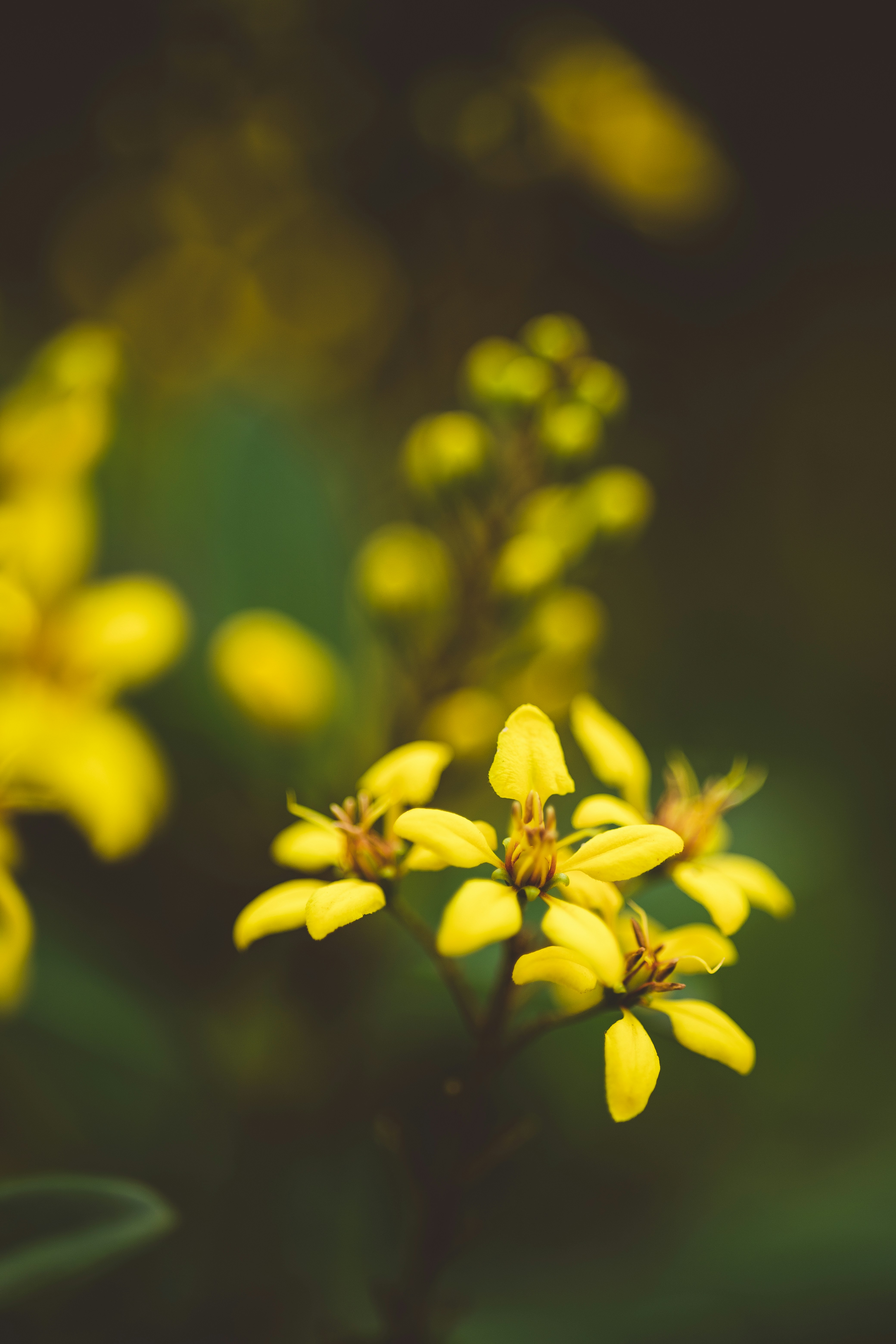 Photo by rrodriguesim