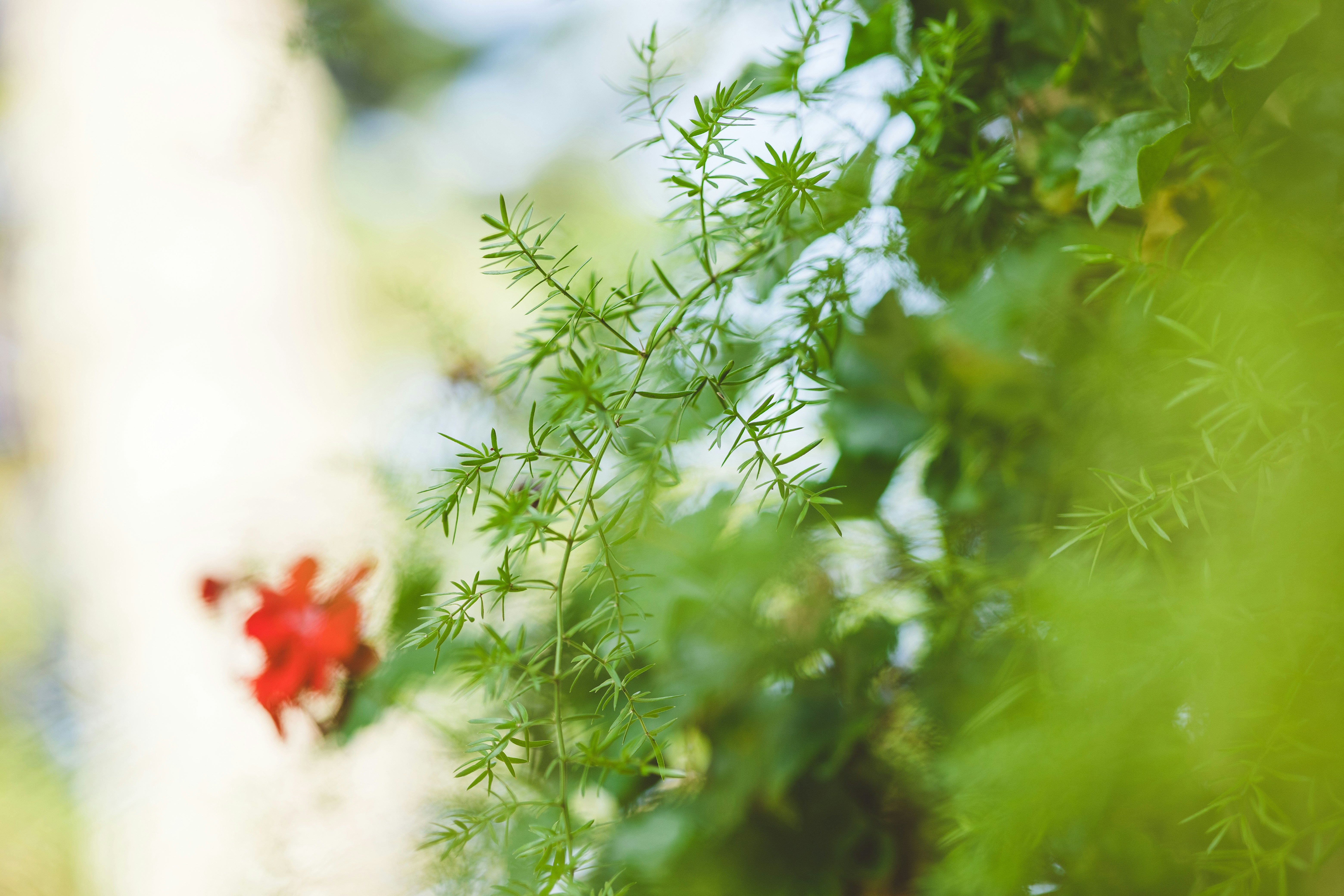 Photo by rrodriguesim