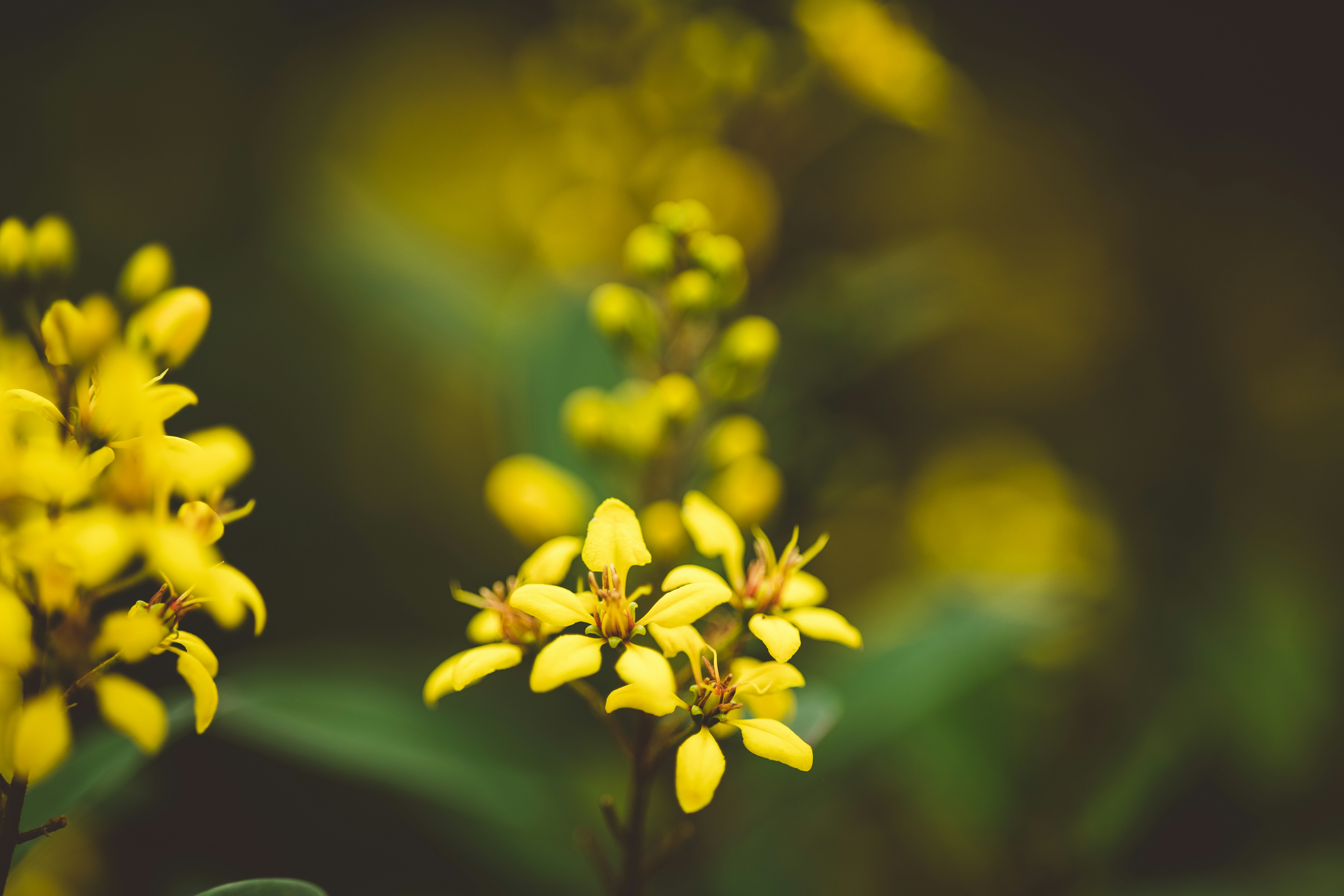 Photo by rrodriguesim