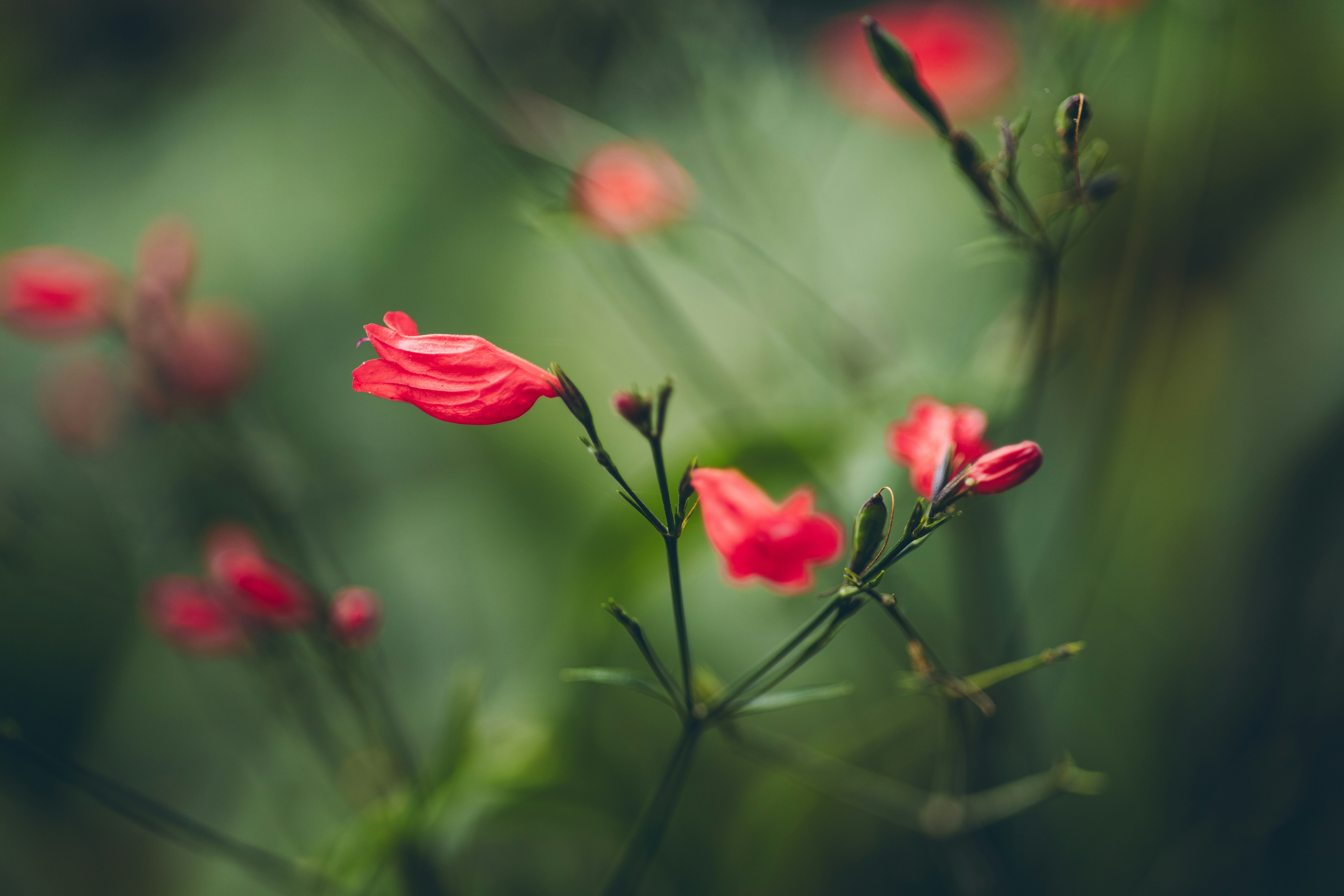 Photo by rrodriguesim