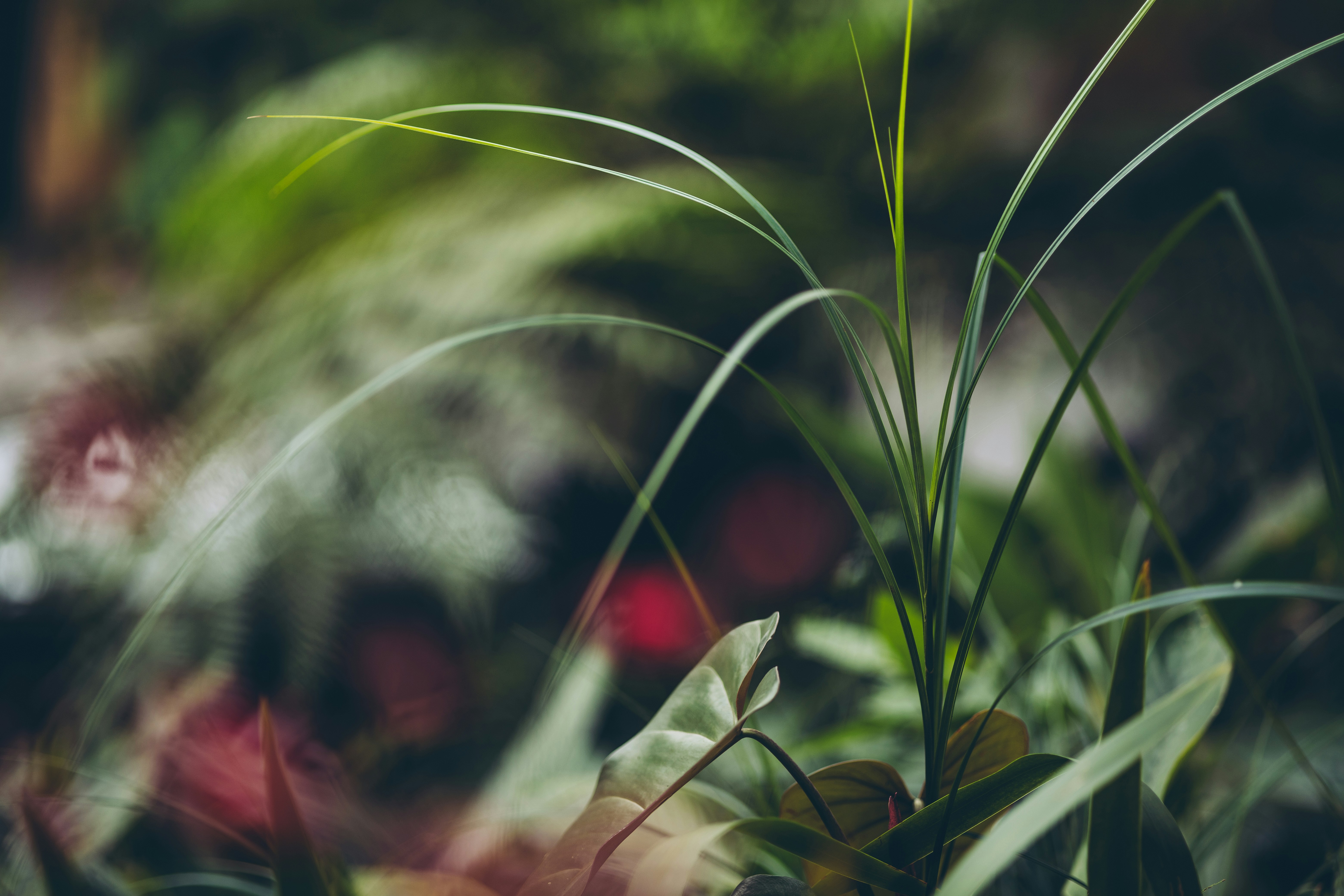 Photo by rrodriguesim