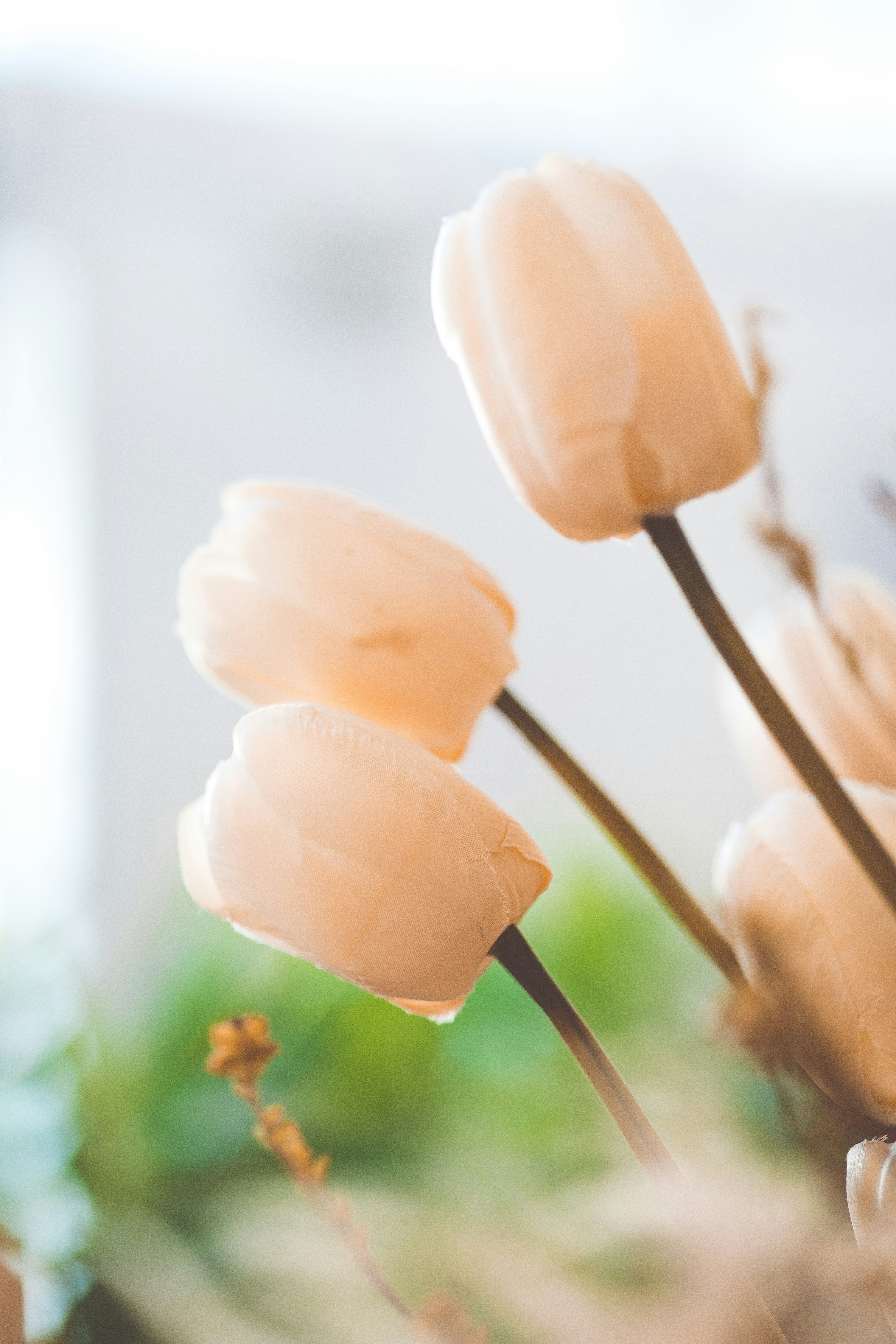 Photo by rrodriguesim