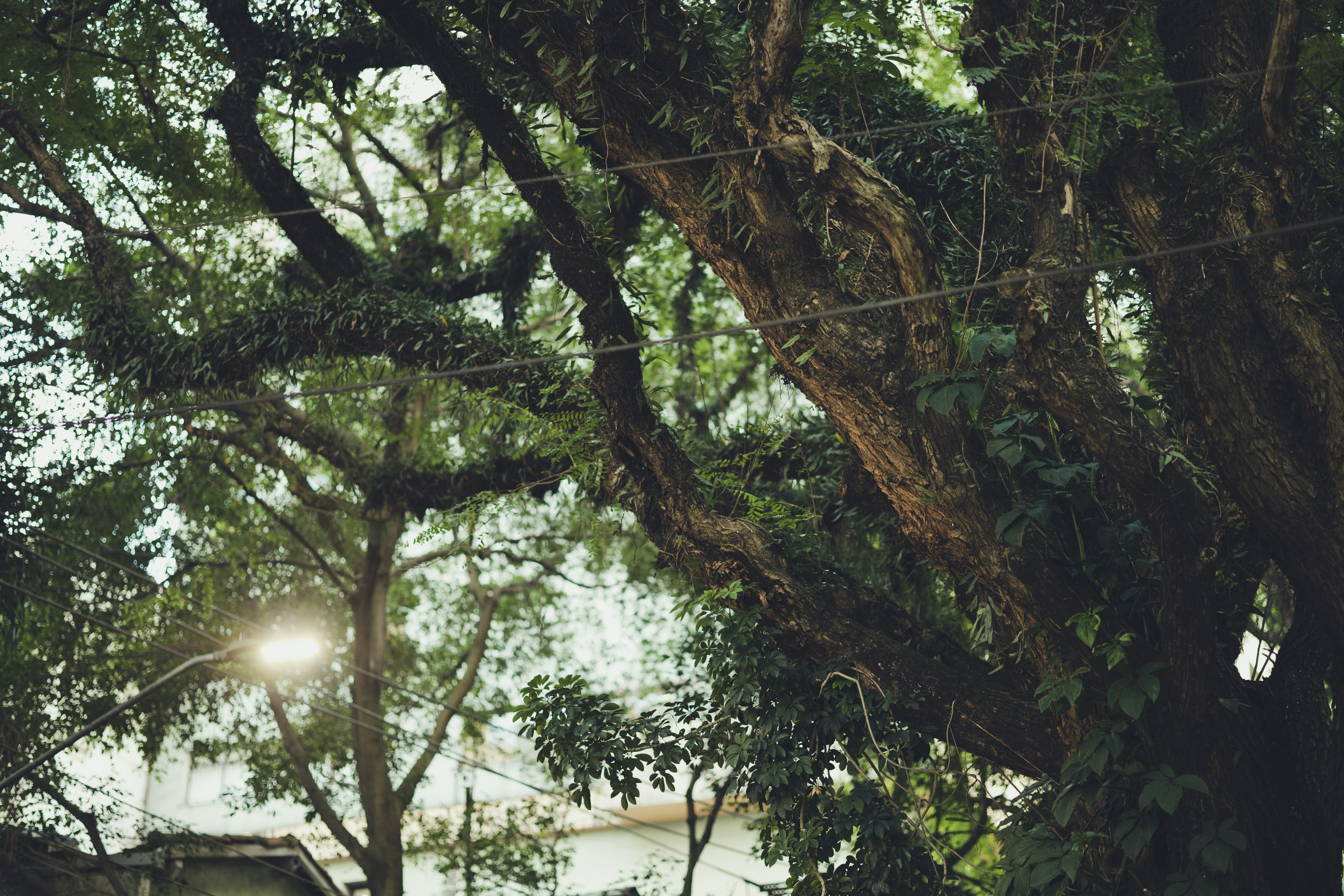 Photo by rrodriguesim