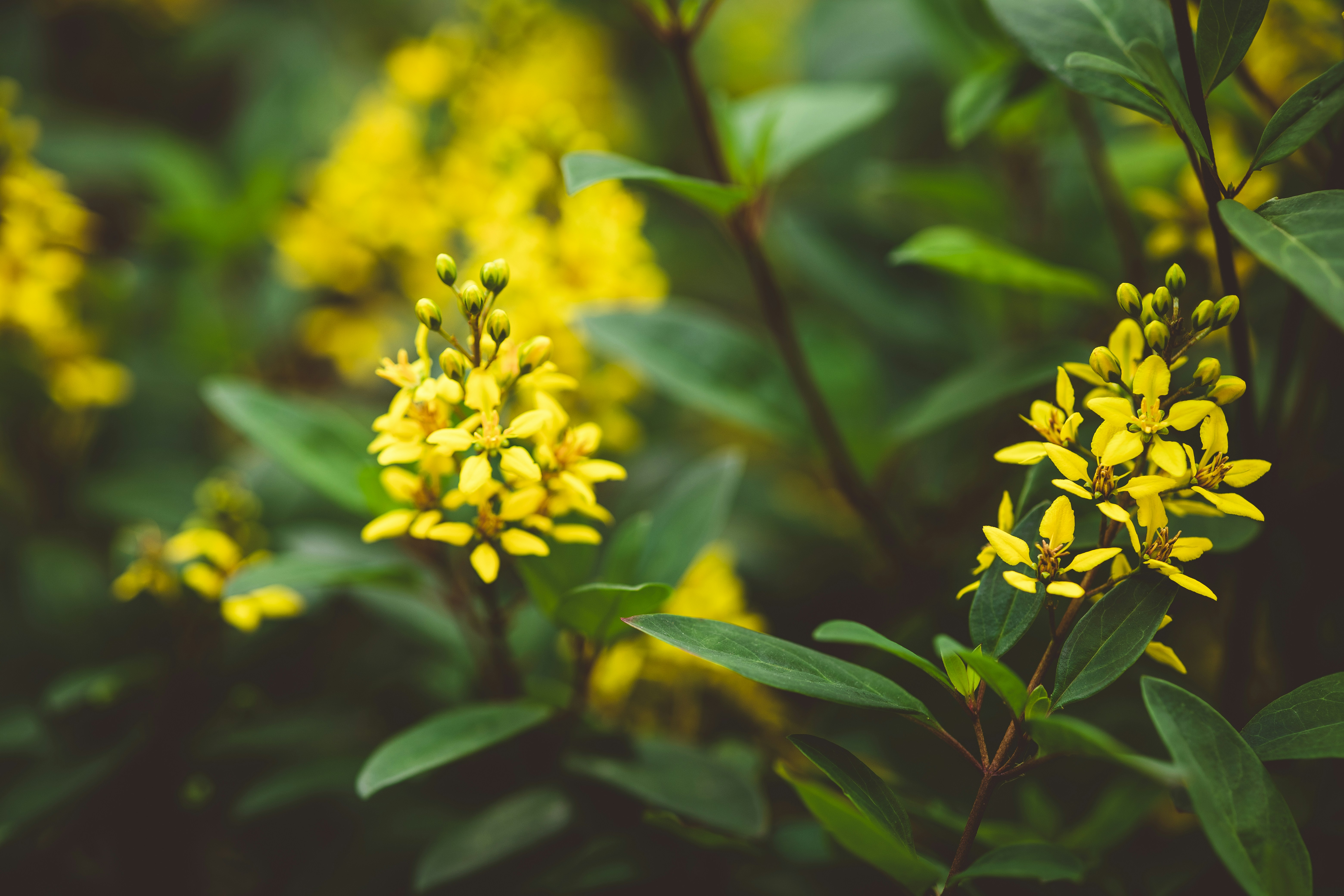 Photo by rrodriguesim