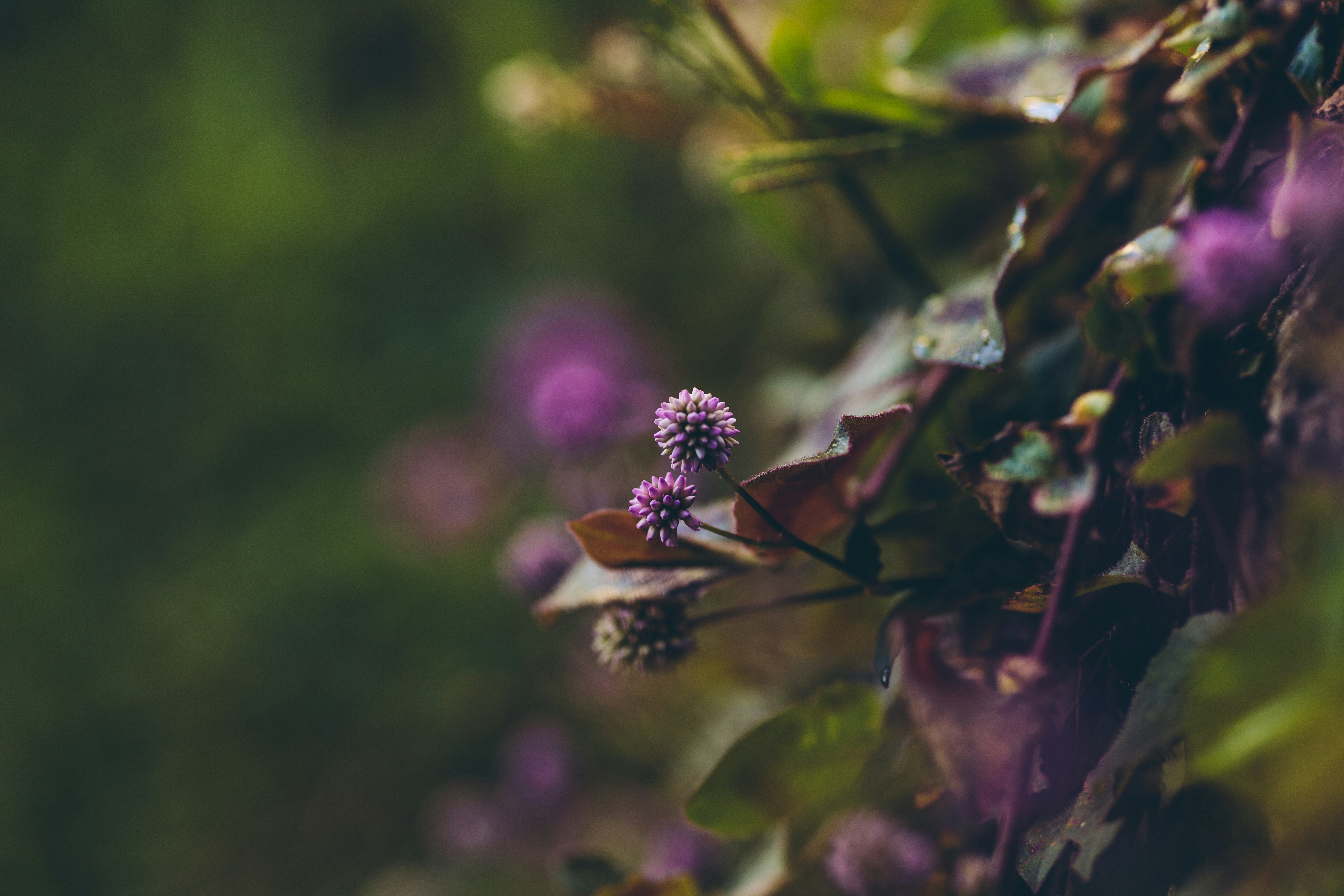 Photo by rrodriguesim