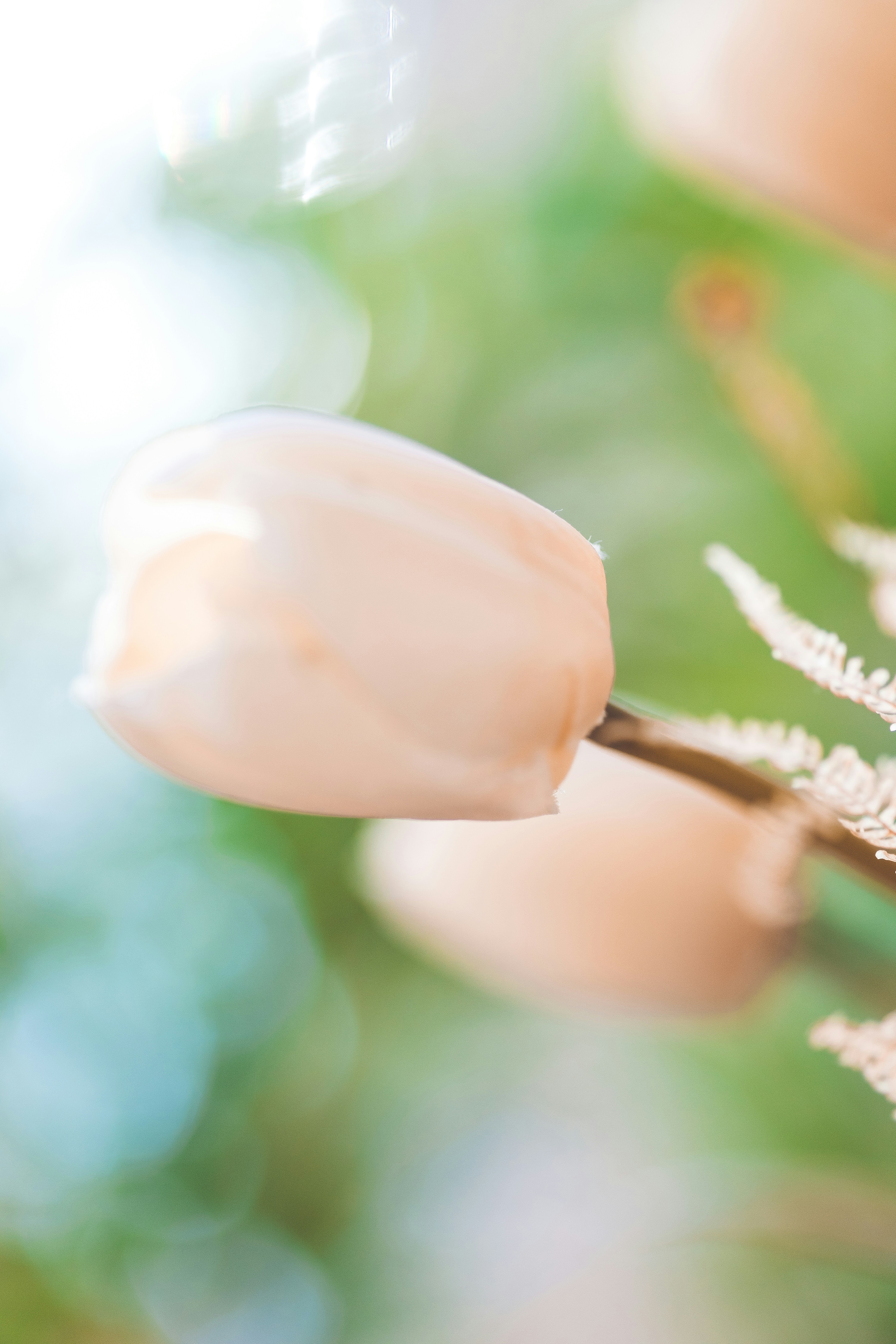 Photo by rrodriguesim