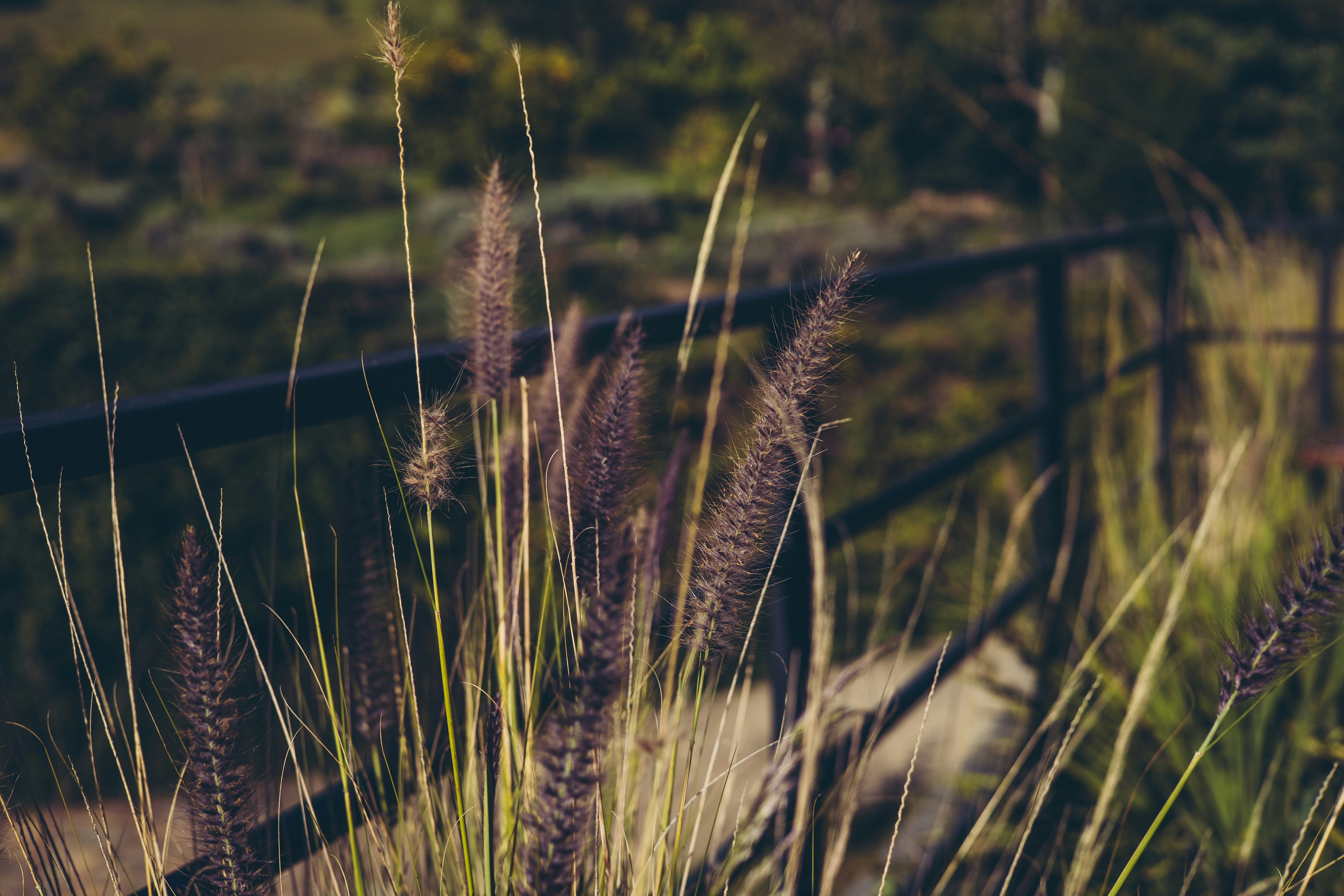 Photo by rrodriguesim