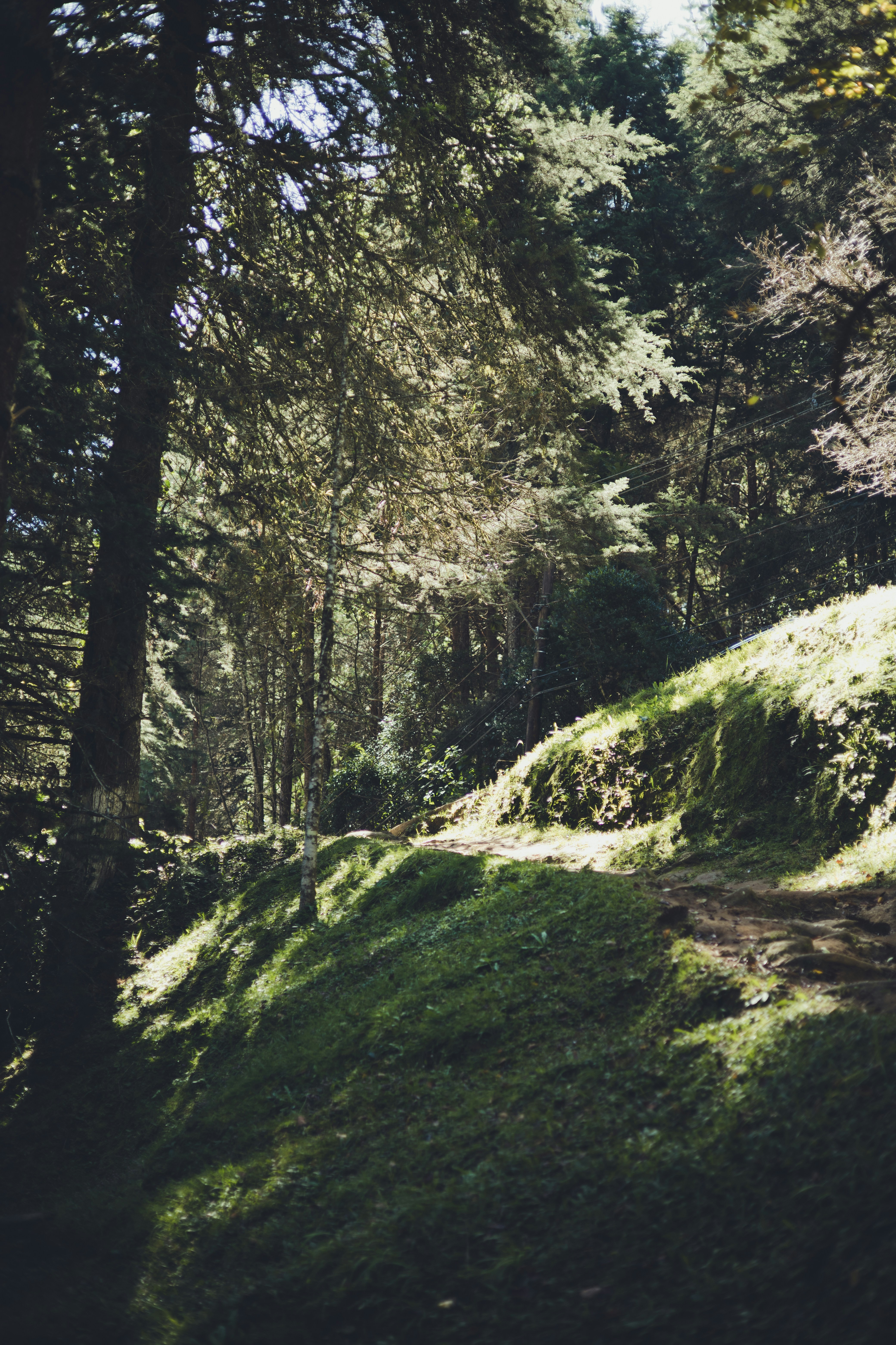 Photo by rrodriguesim