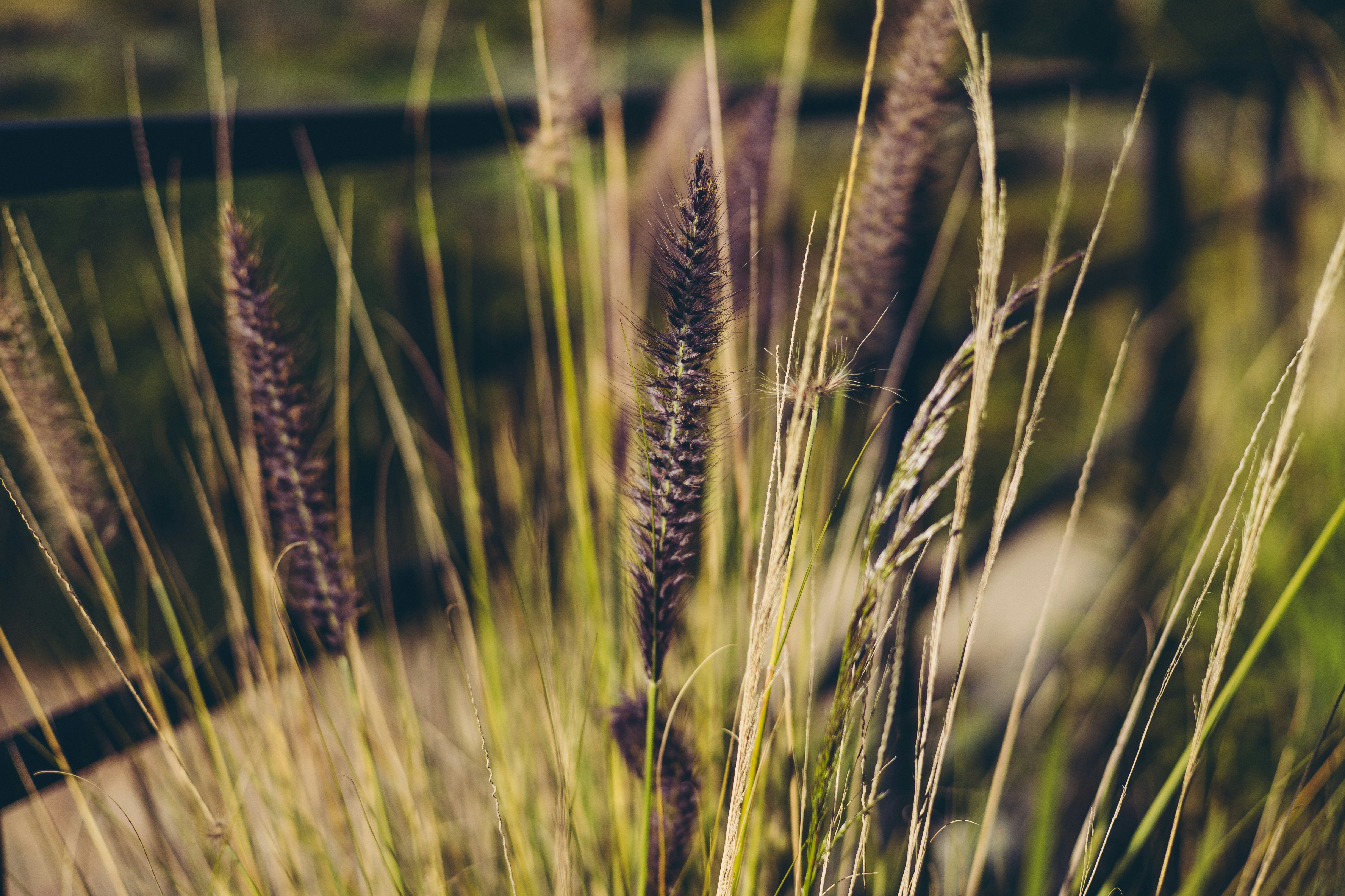 Photo by rrodriguesim