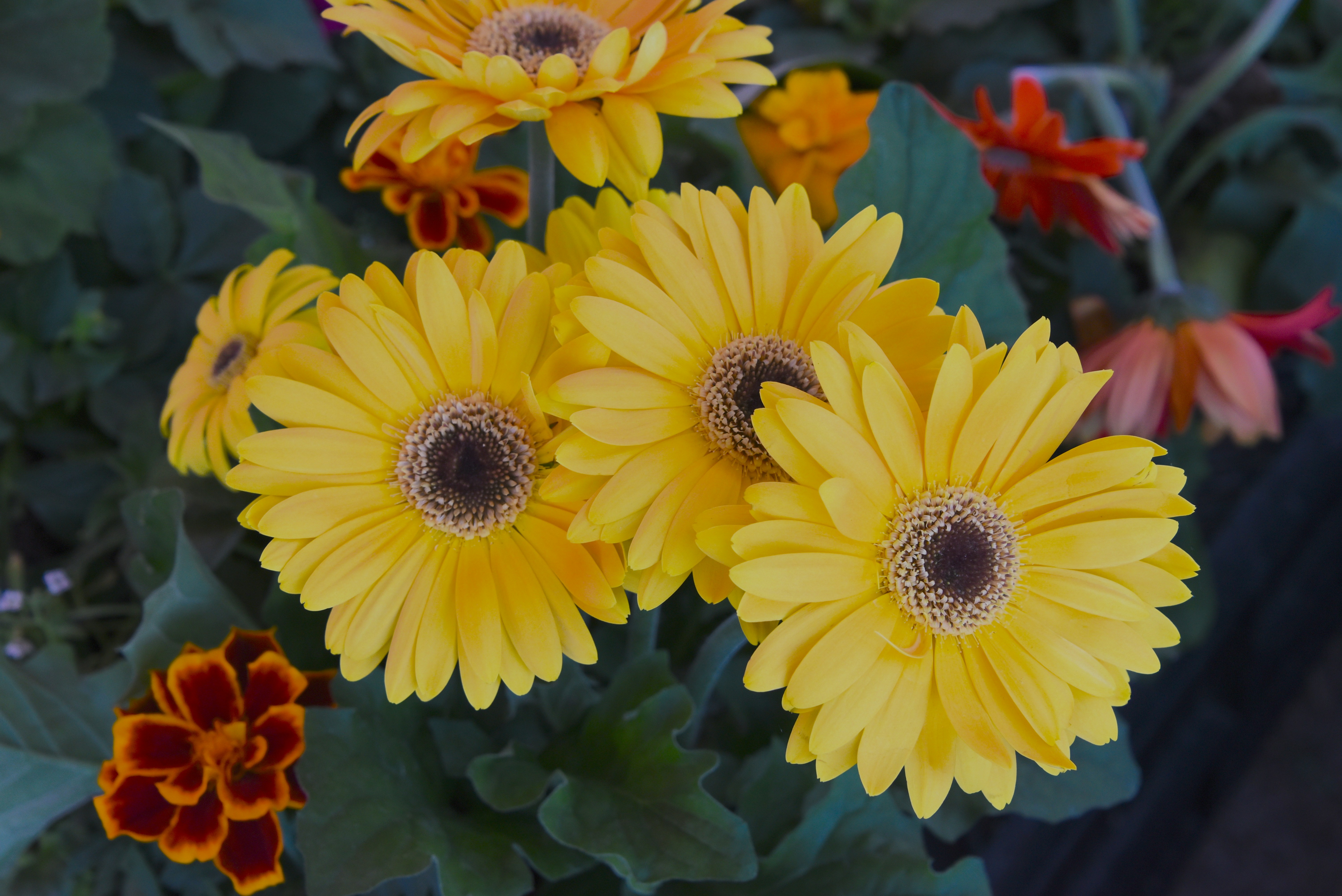 Photo by setrosestudios