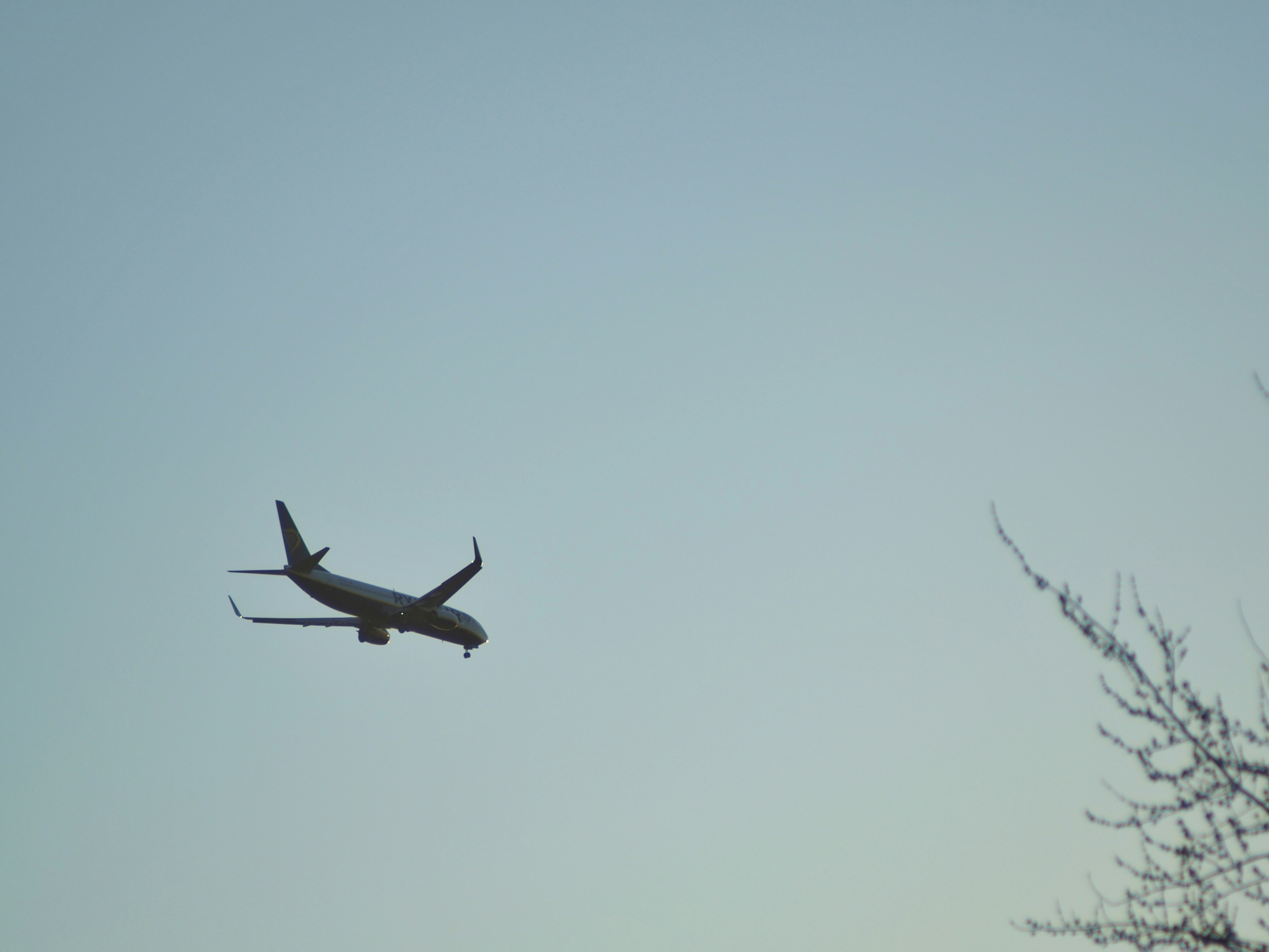 a large jetliner flying through a blue sky, 