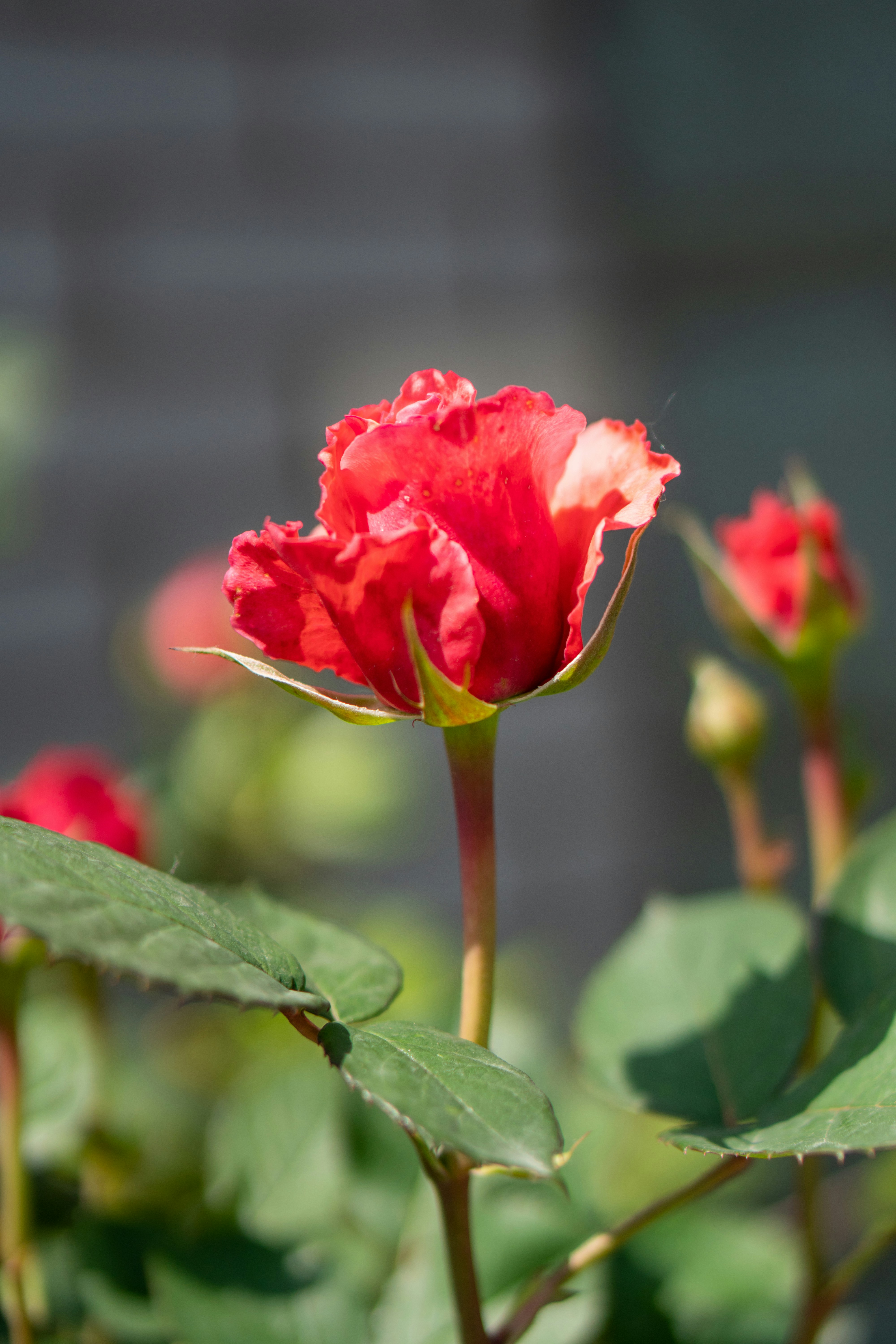 Photo by youngjun420