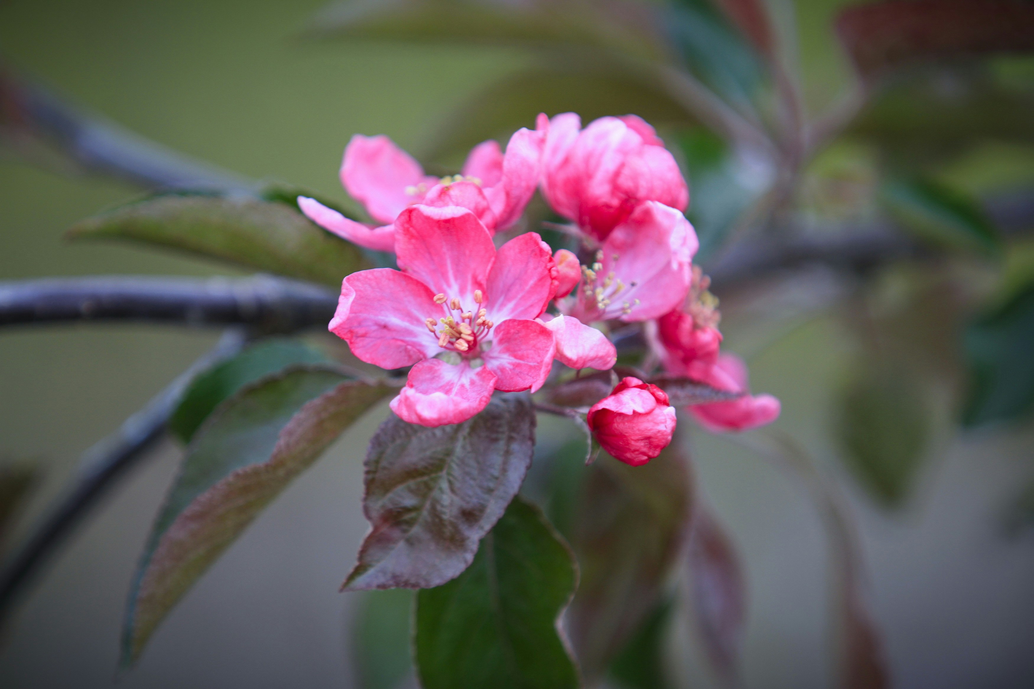 Photo by lipetskaya_zemlya