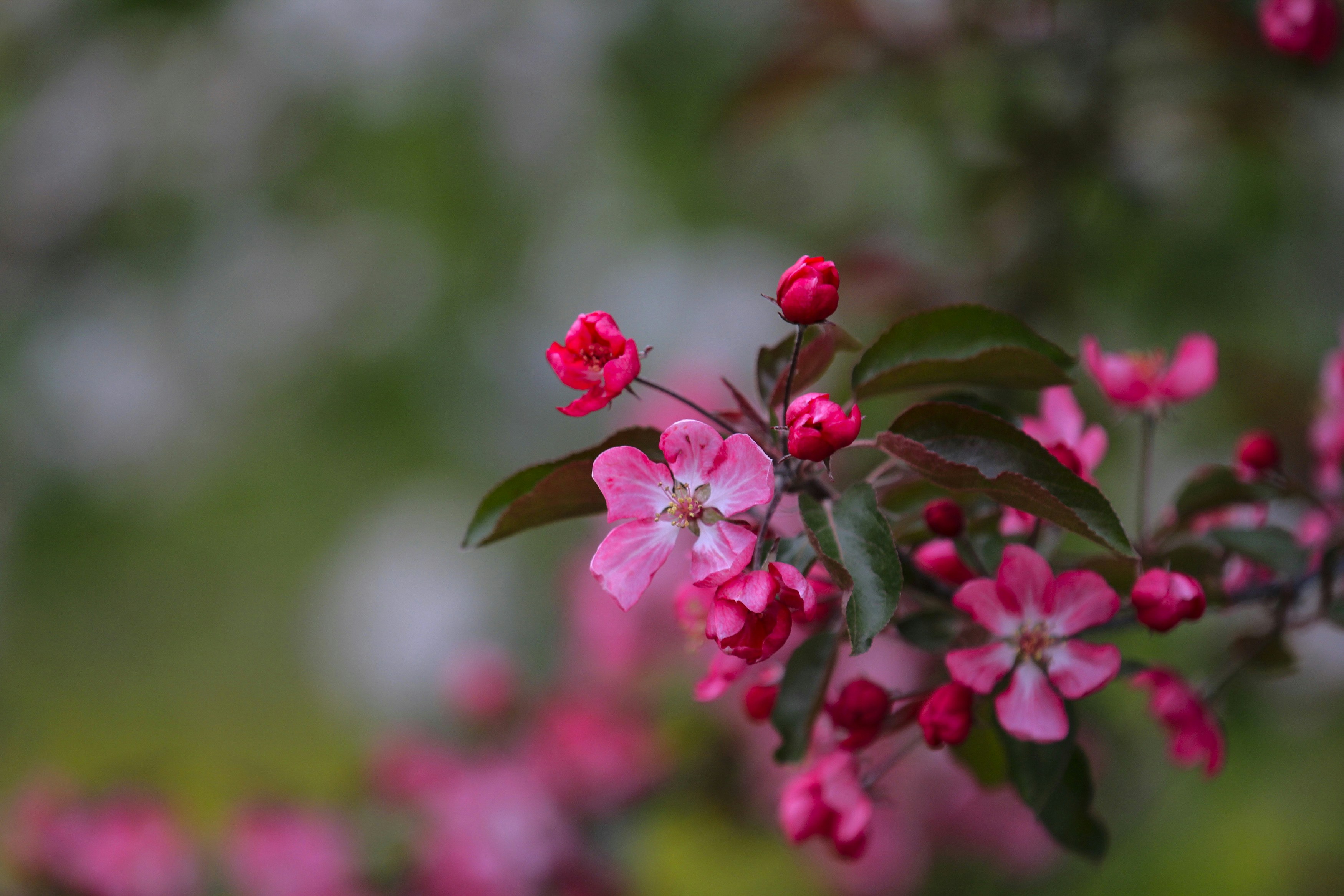 Photo by lipetskaya_zemlya