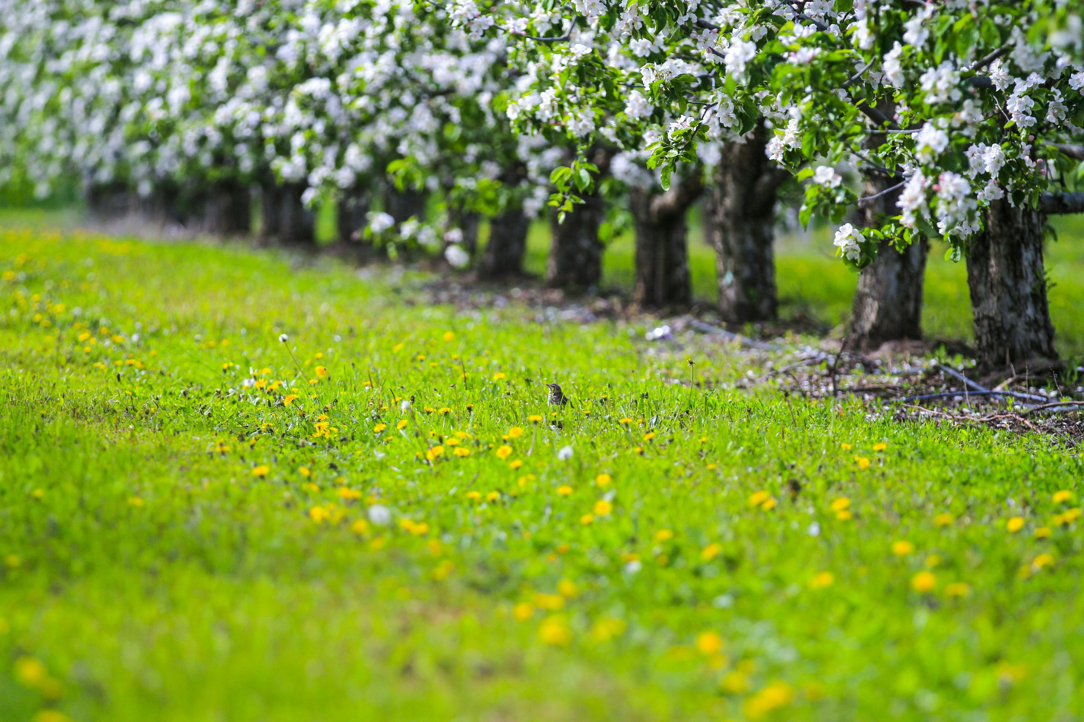 Photo by lipetskaya_zemlya