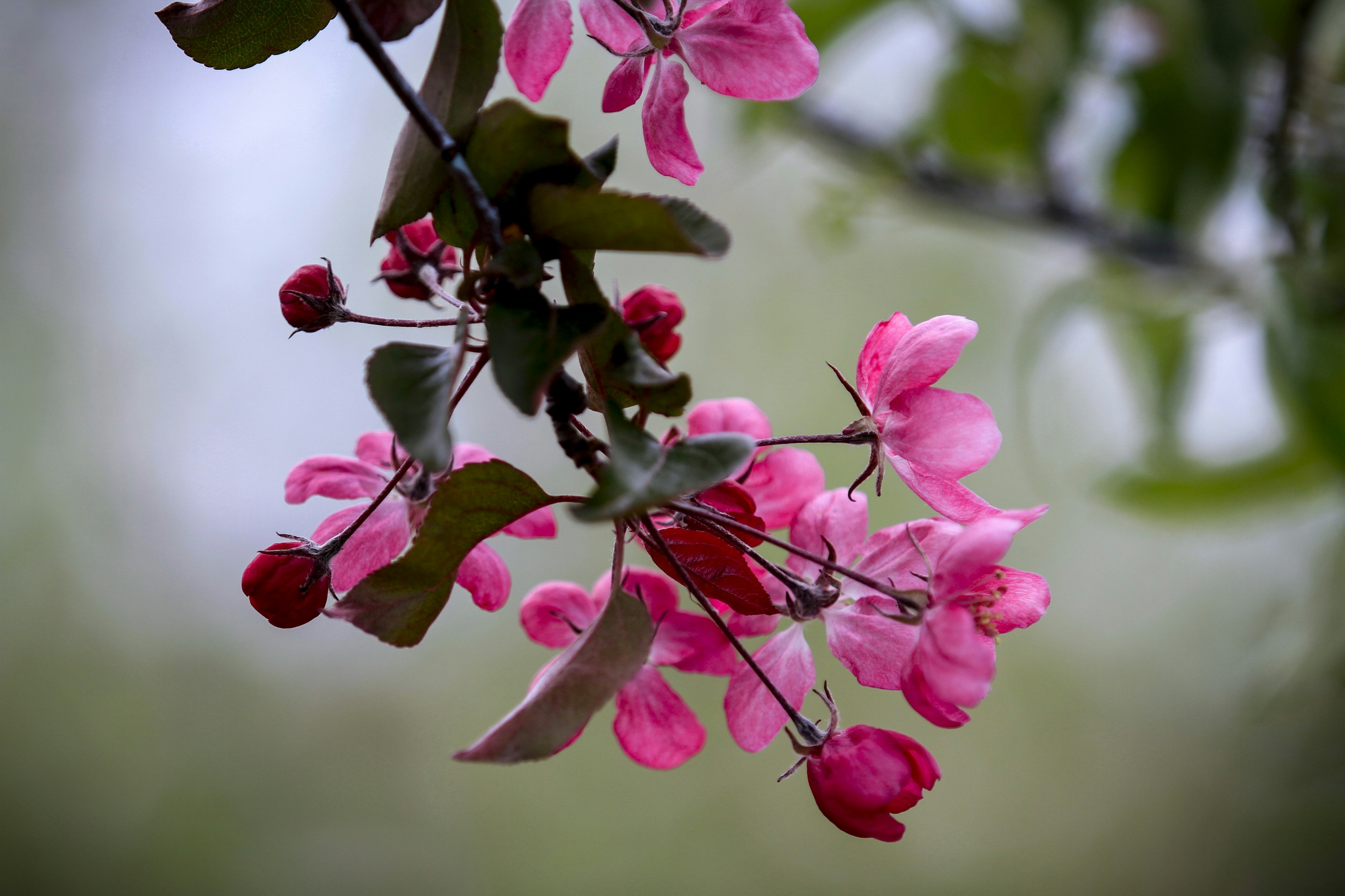 Photo by lipetskaya_zemlya