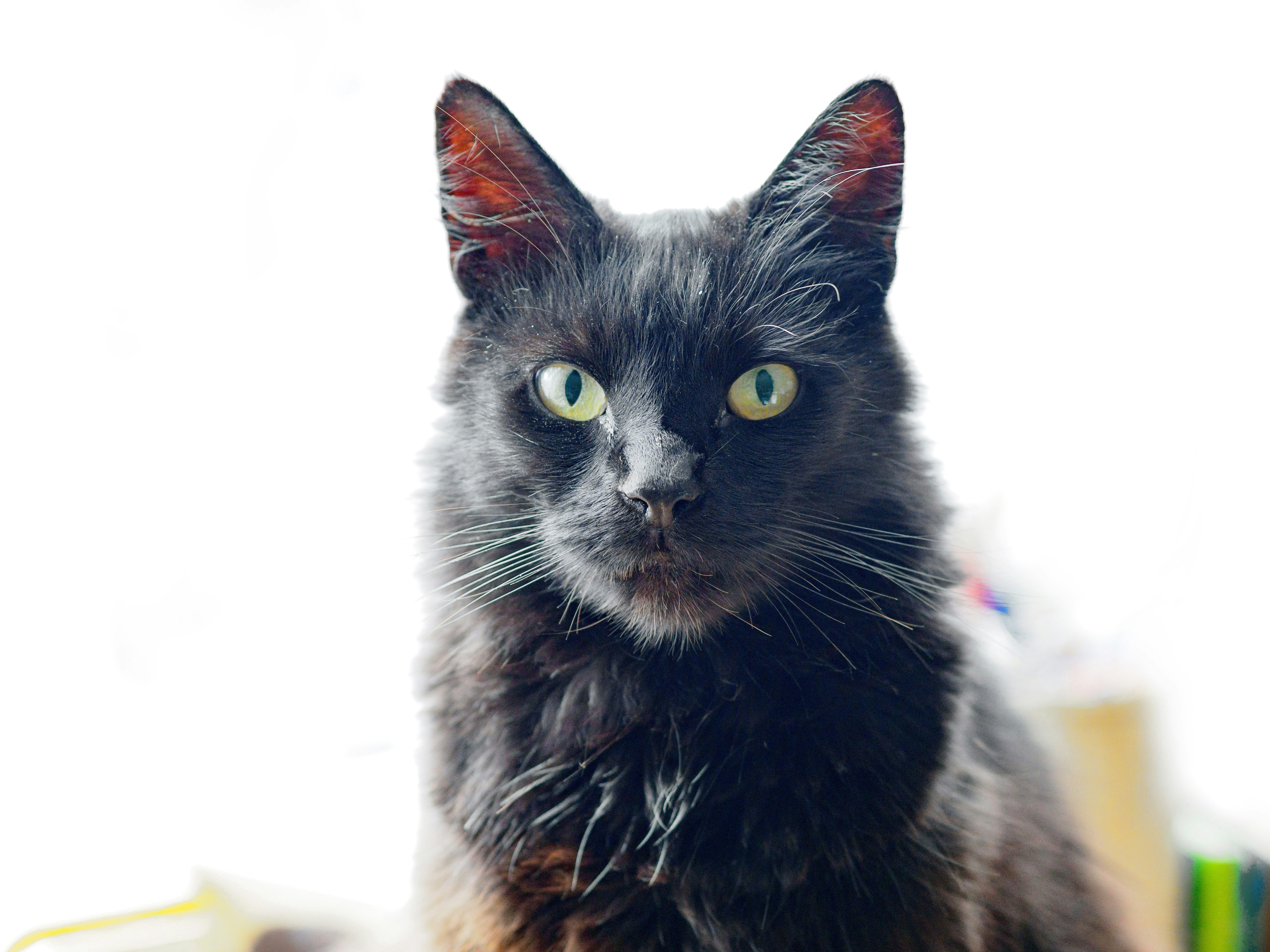 Photo by brett_jordan