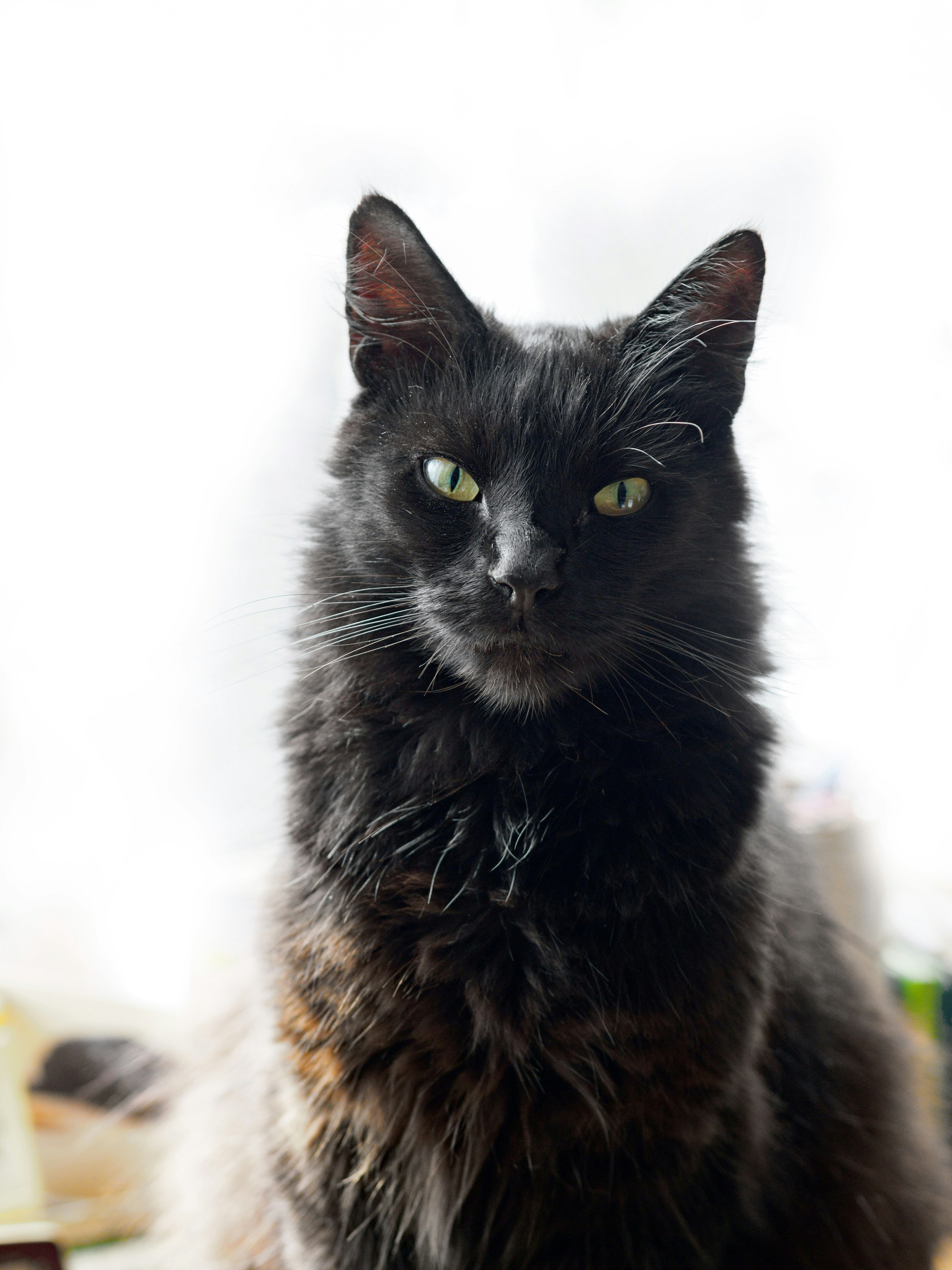 Photo by brett_jordan