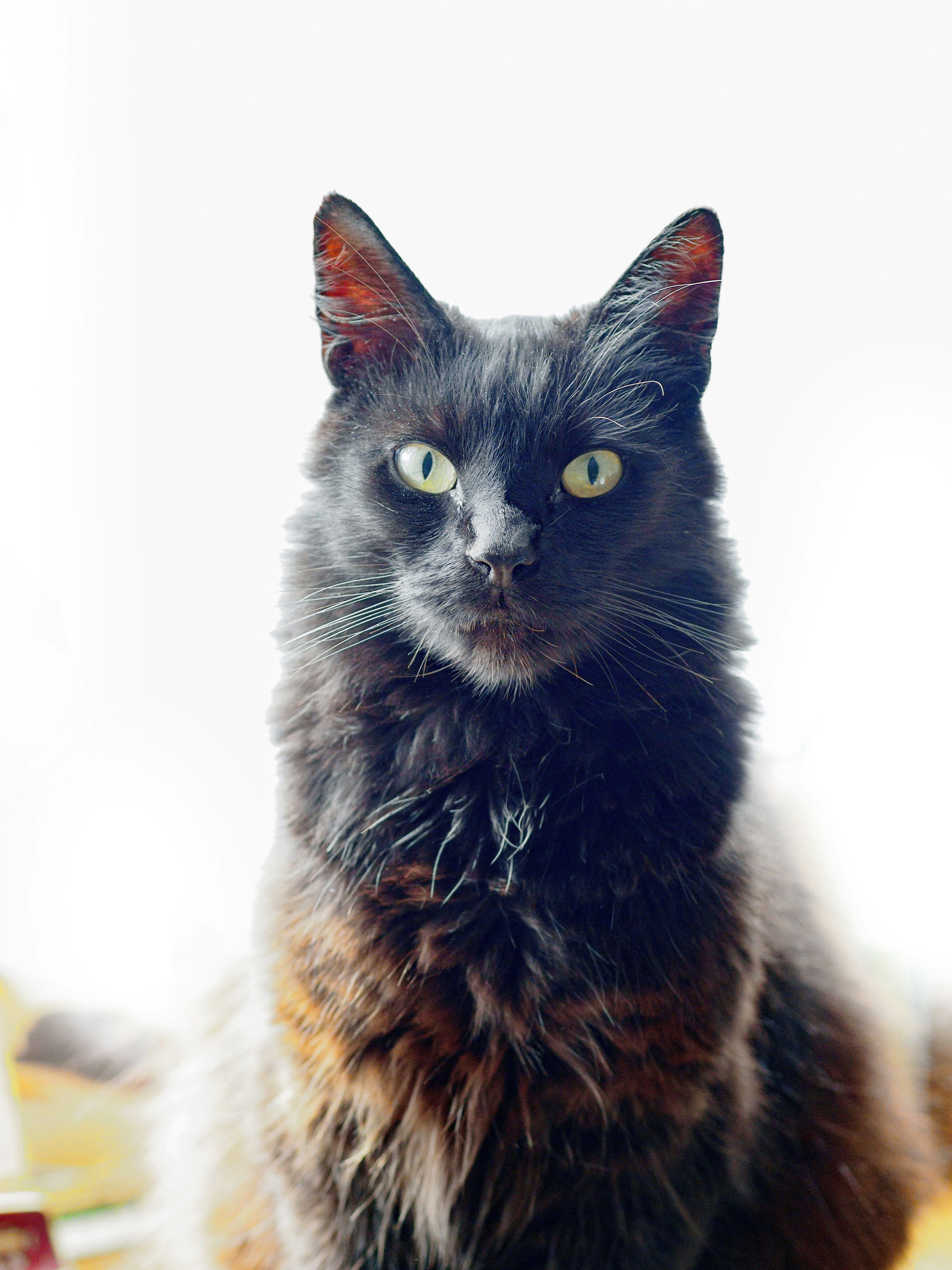 Photo by brett_jordan