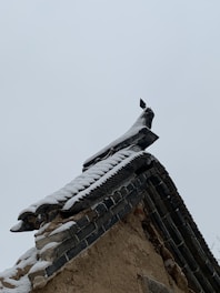 A traditional roof covered with snow, featuring ornate detailing and aged, dark-colored tiles against a pale sky.