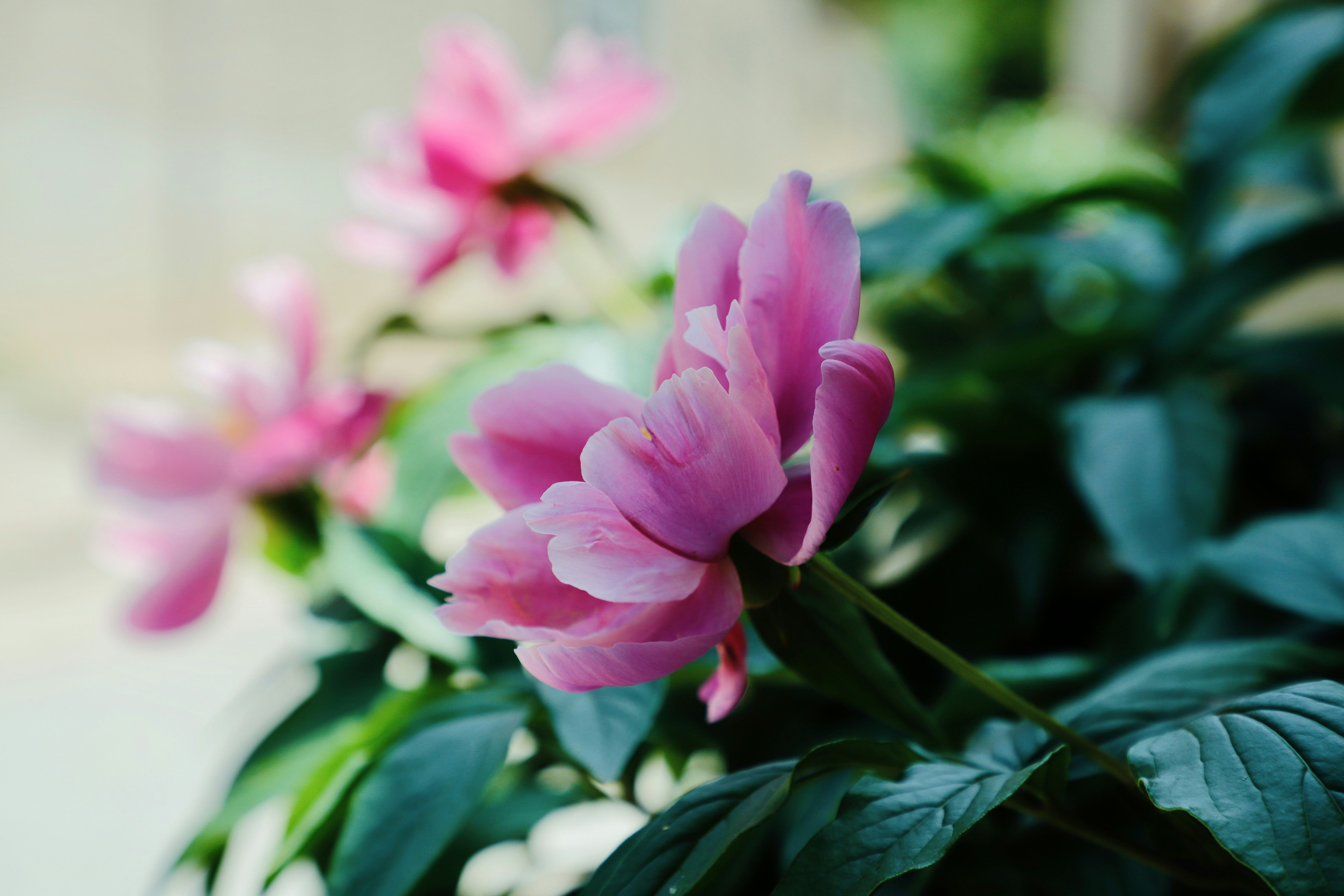 Photo by galaxyhunter