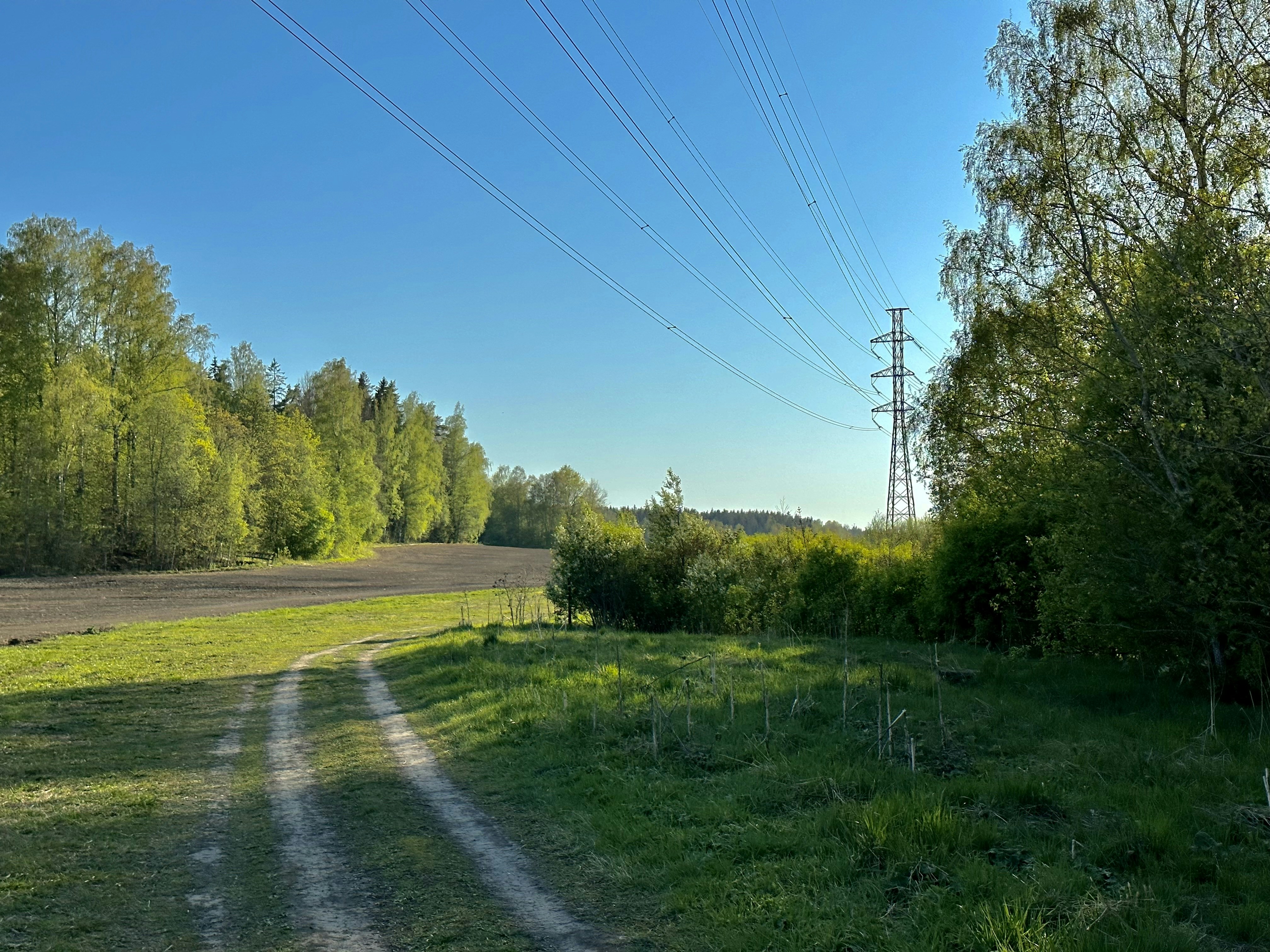 Diagonalization: Cantor's Revolutionary Proof Technique