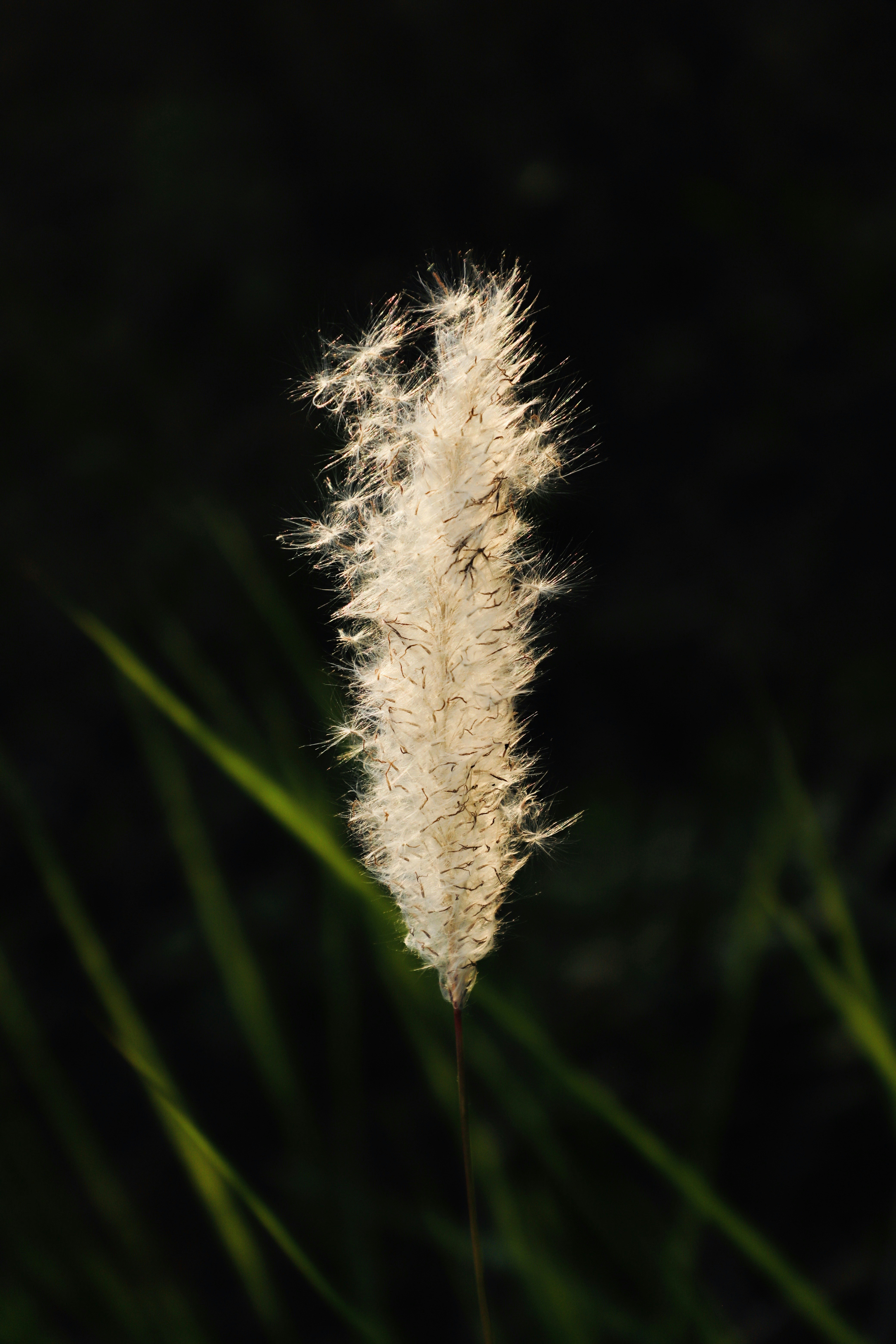 Photo by galaxyhunter