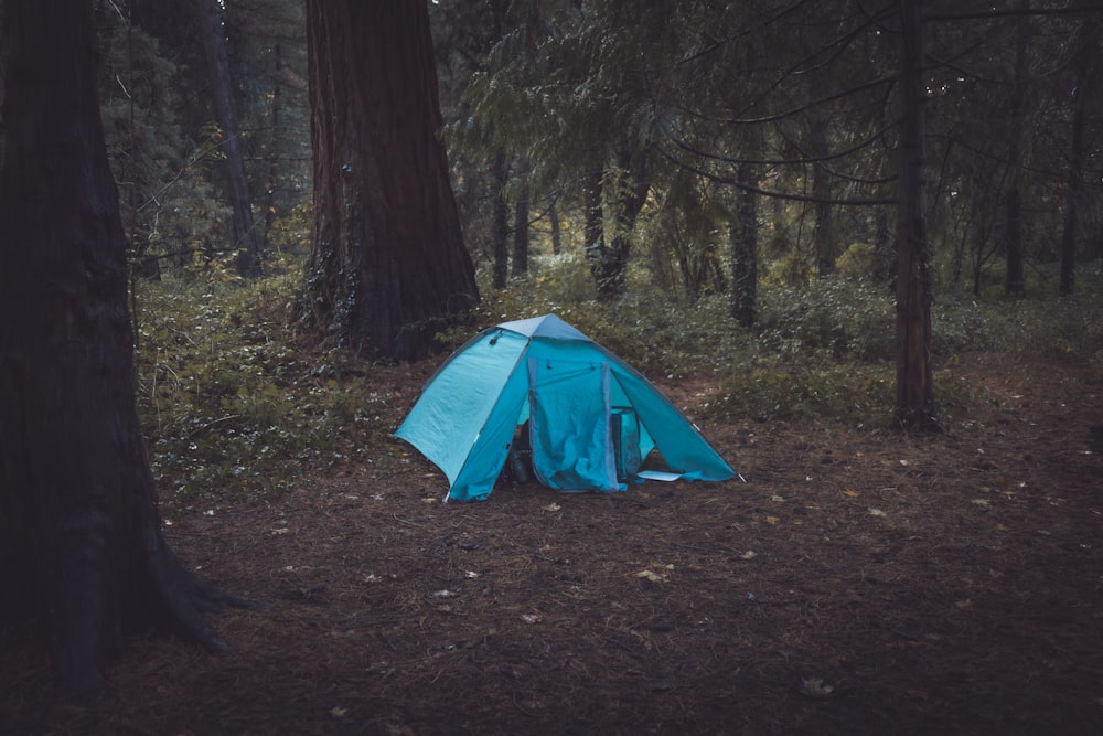 a blue tent sitting in the middle of a forest