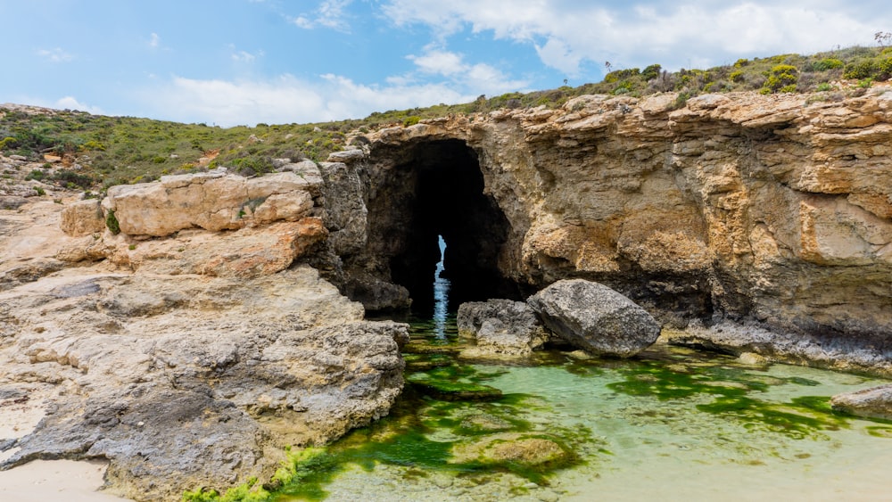 a cave entrance on a rocky beach with green algae growing in the water
