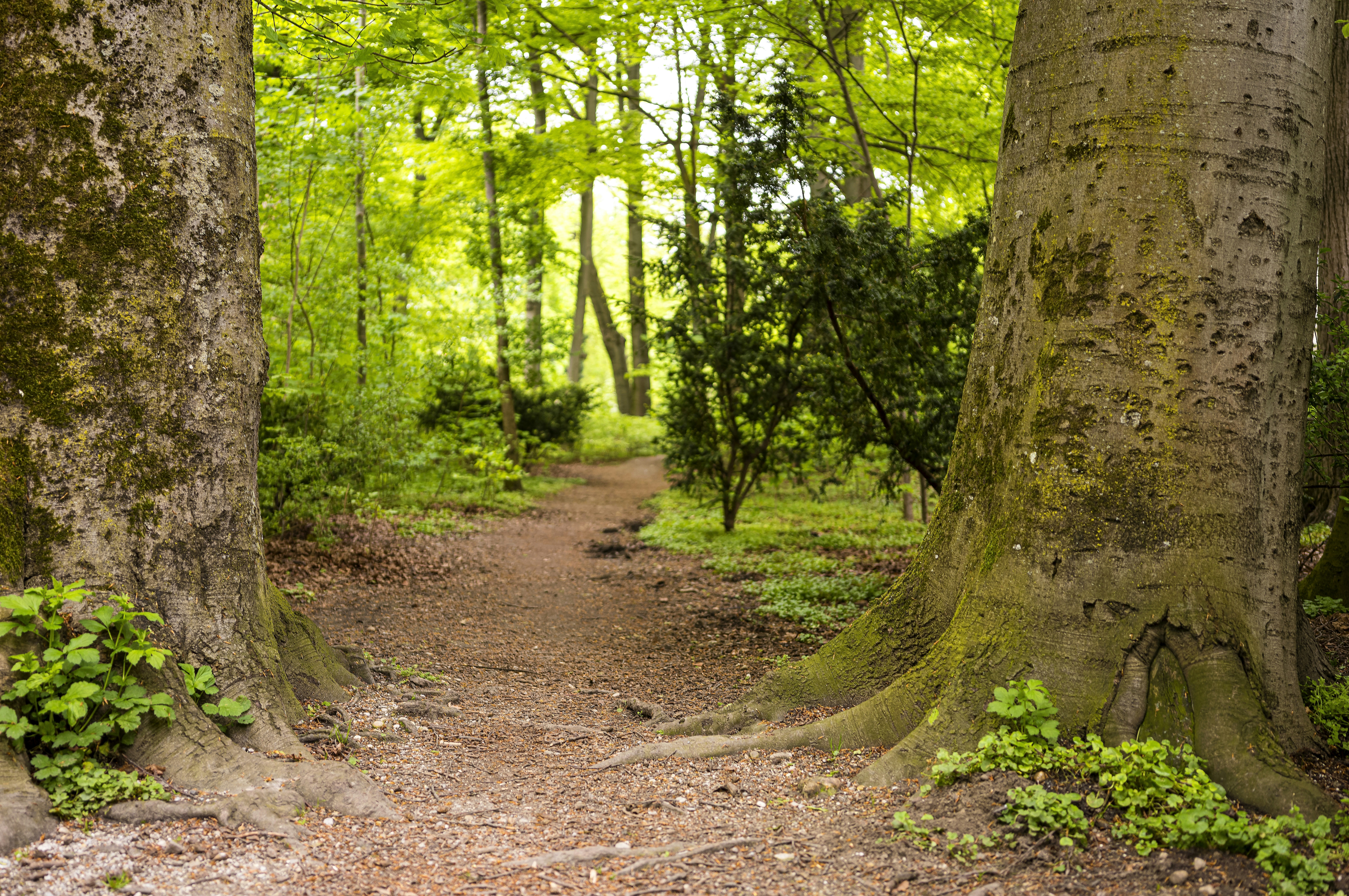 Photo by dieter_muenchen