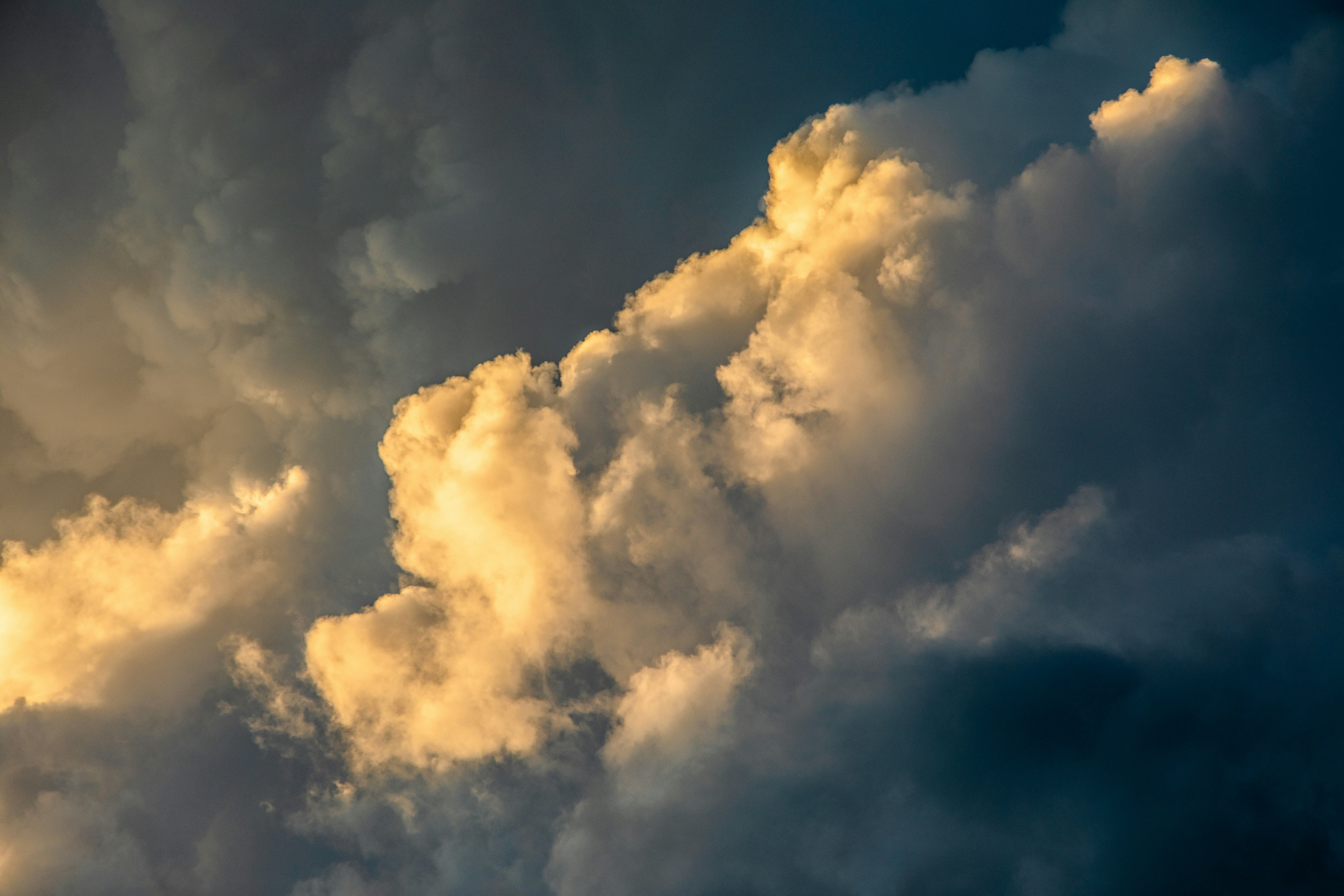 Photo by mikejerskine