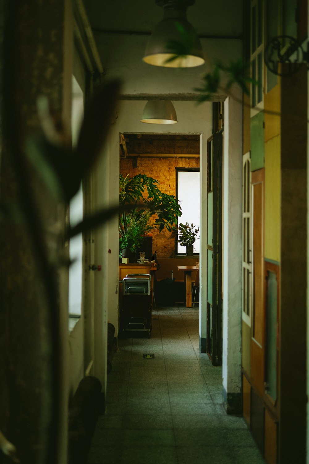 a long hallway with a potted plant on the wall