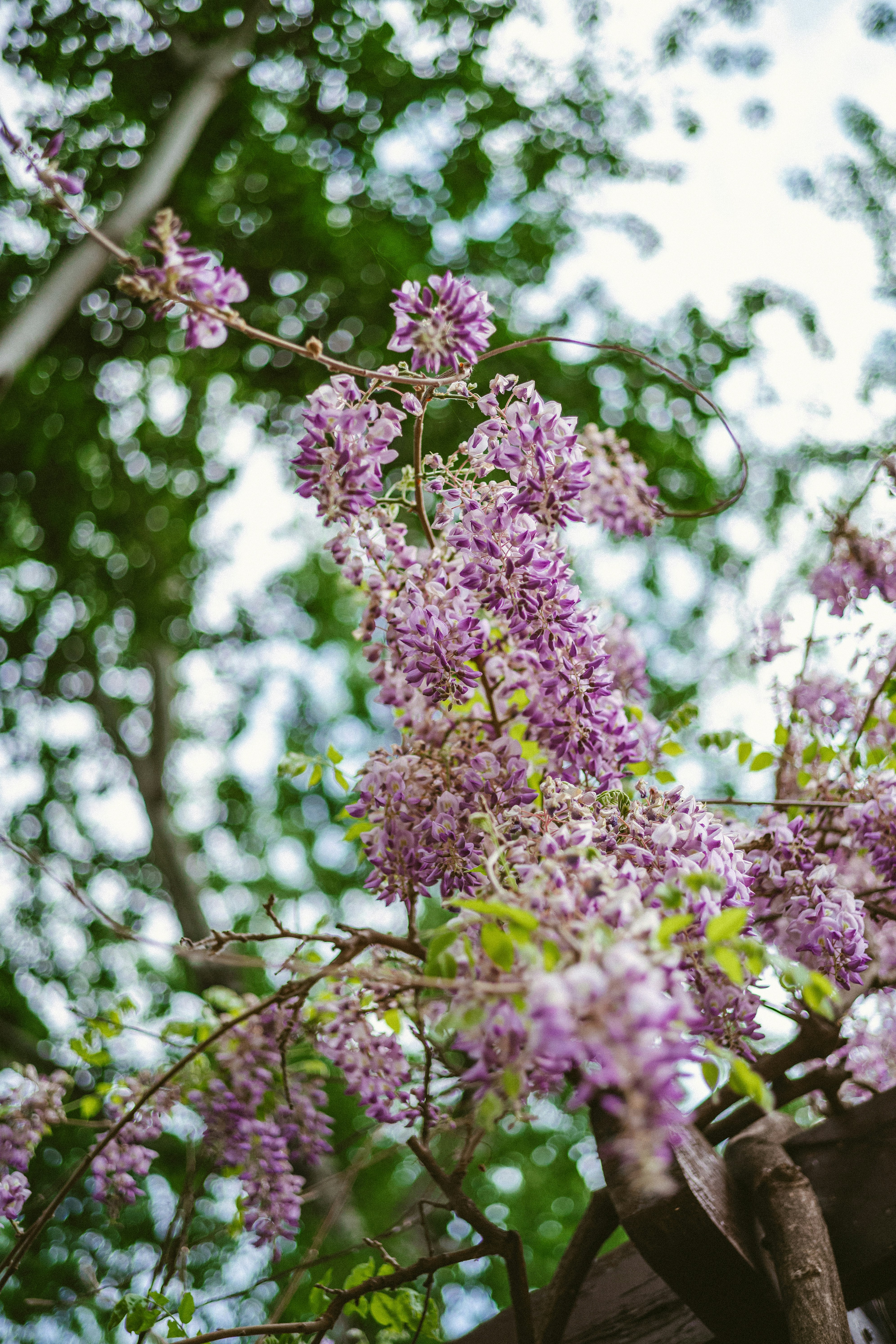 Photo by tommaomaoer