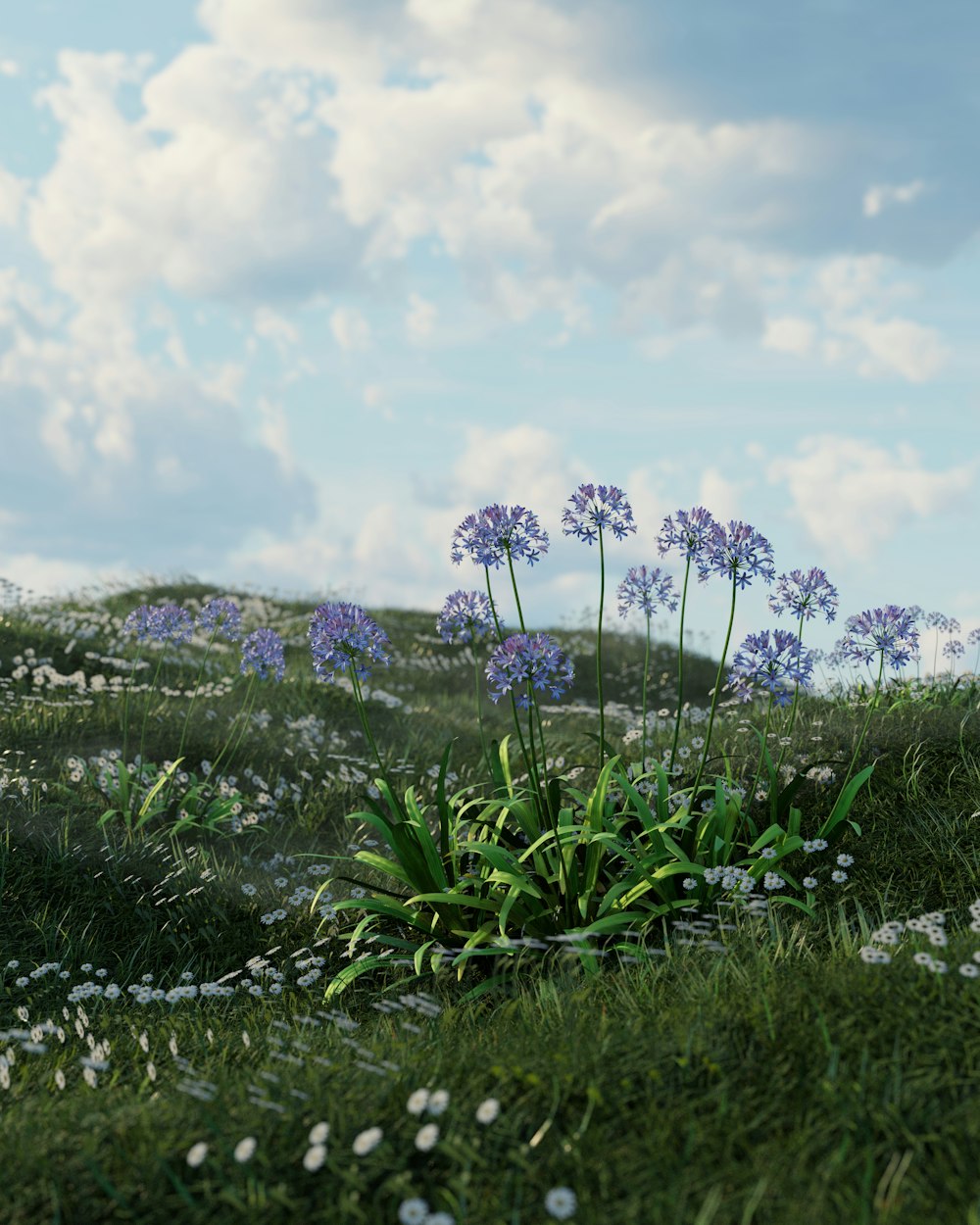 a bunch of flowers that are in the grass