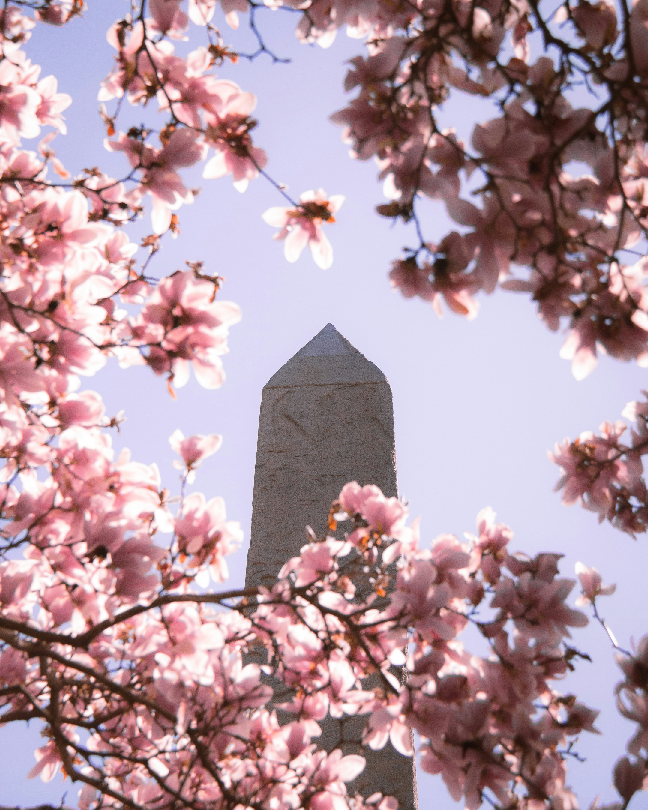 Photo by gchab_photography