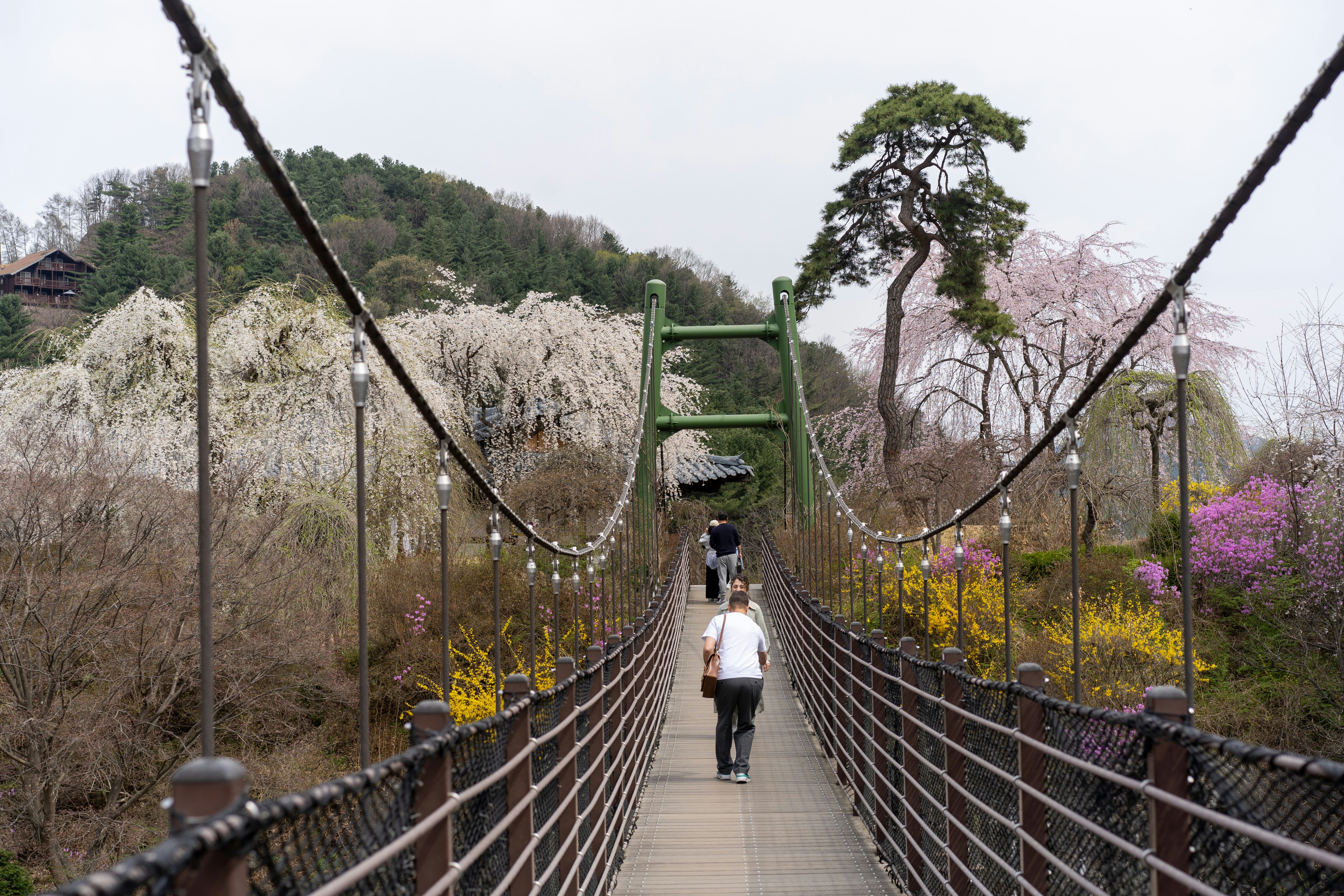 公園の橋を渡って歩く二人