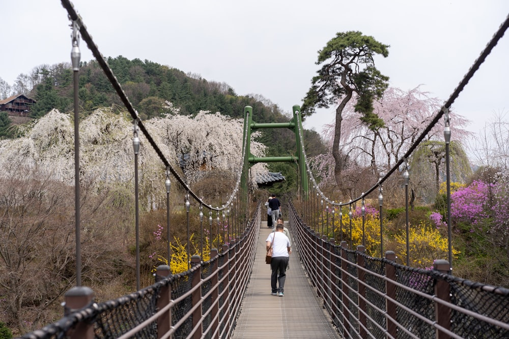 two people walking across a bridge in a park