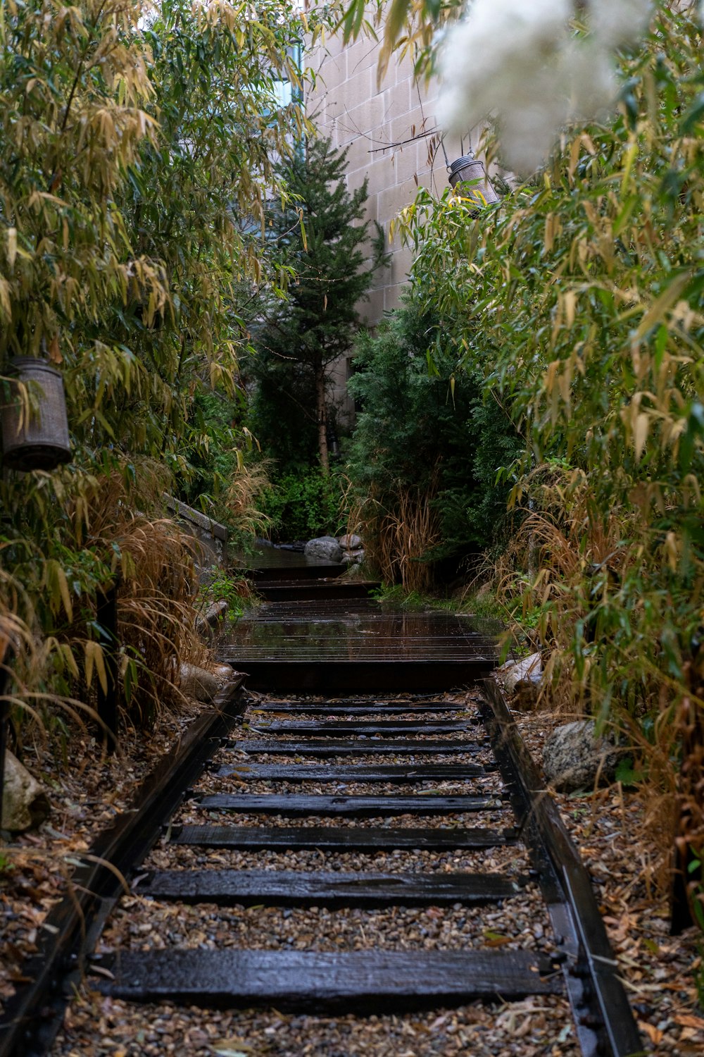 a set of railroad tracks surrounded by trees